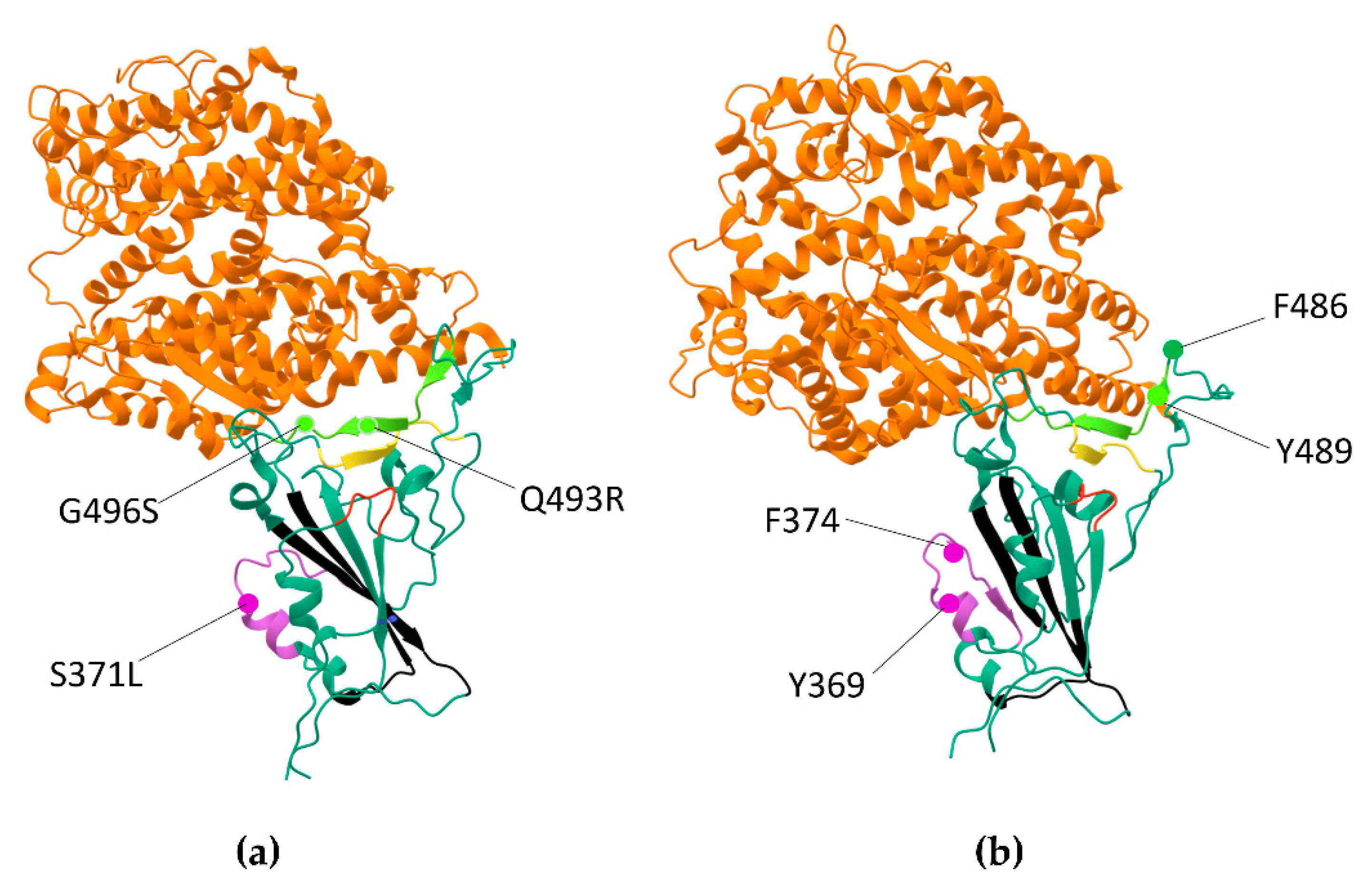 Ijms 23 13502 g003 Ijms 23 13502 g003