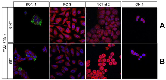 IJMS | Free Full-Text | Co-Expression of Adaptor Protein FAM159B