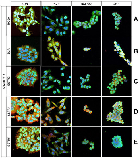 IJMS | Free Full-Text | Co-Expression of Adaptor Protein FAM159B