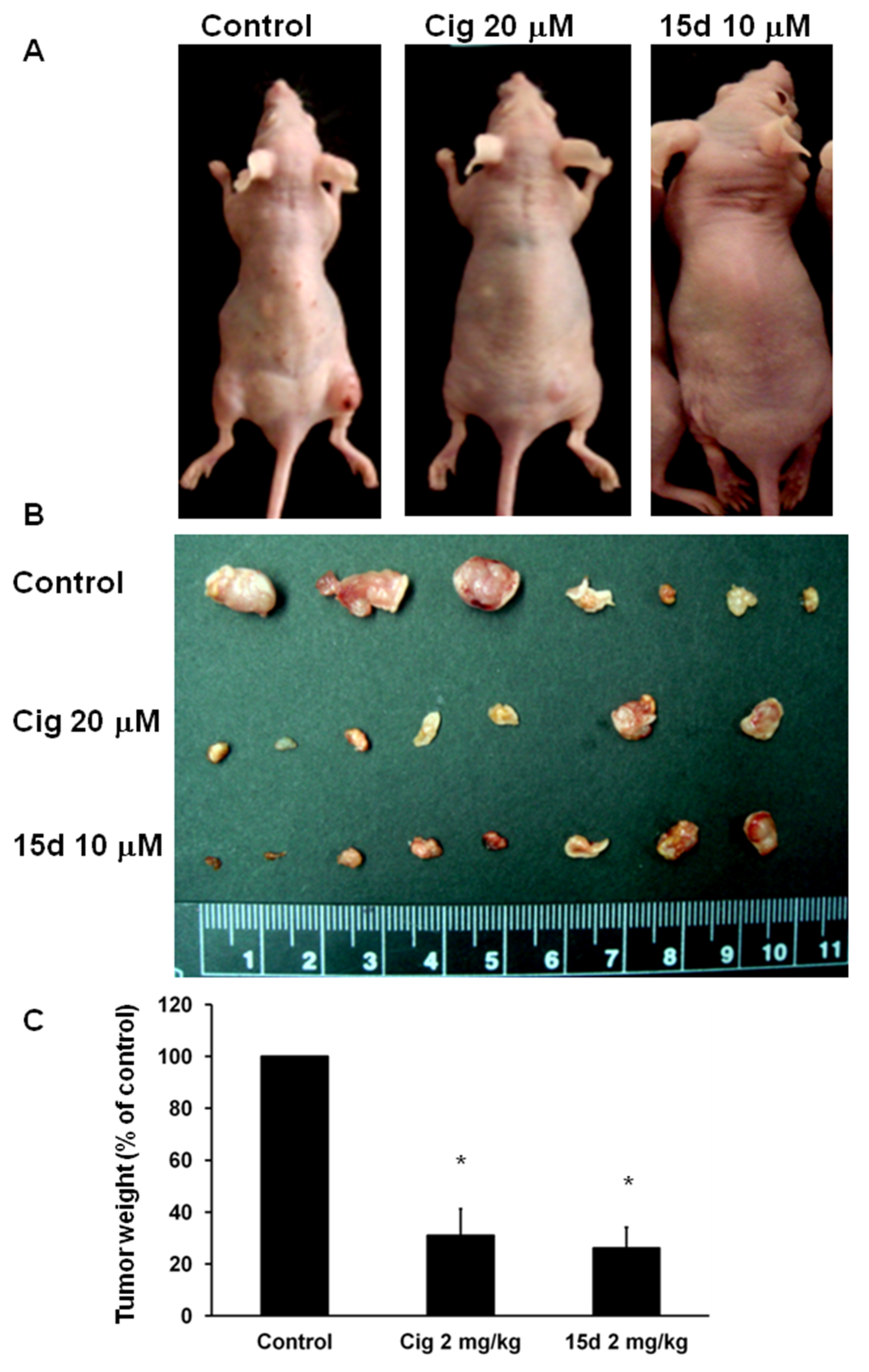 Ijms 23 13510 g002 Ijms 23 13510 g002