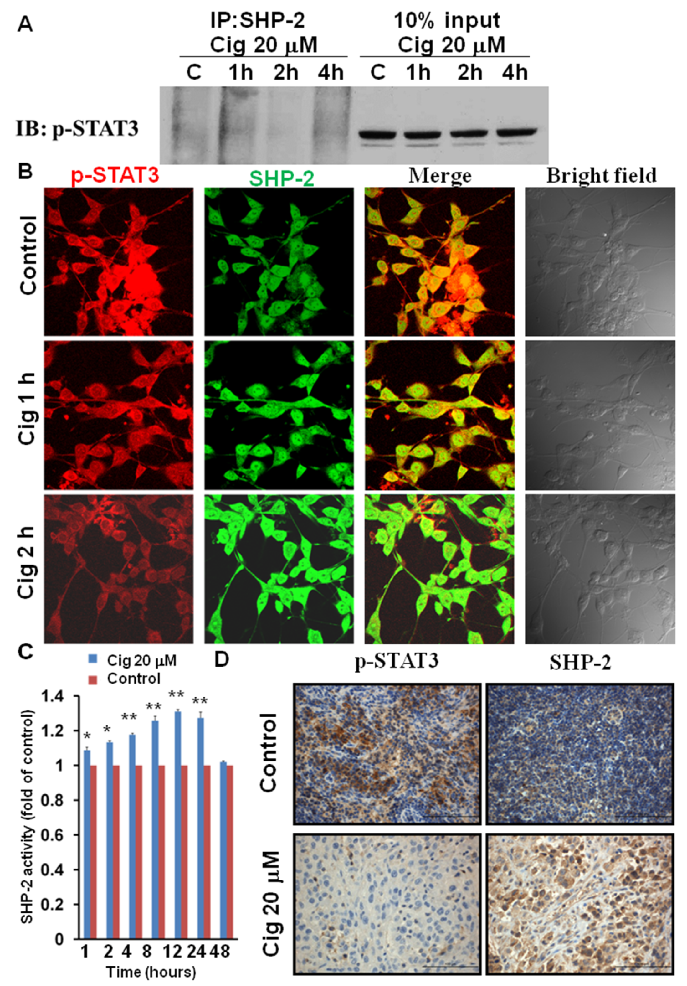 Ijms 23 13510 g005 Ijms 23 13510 g005