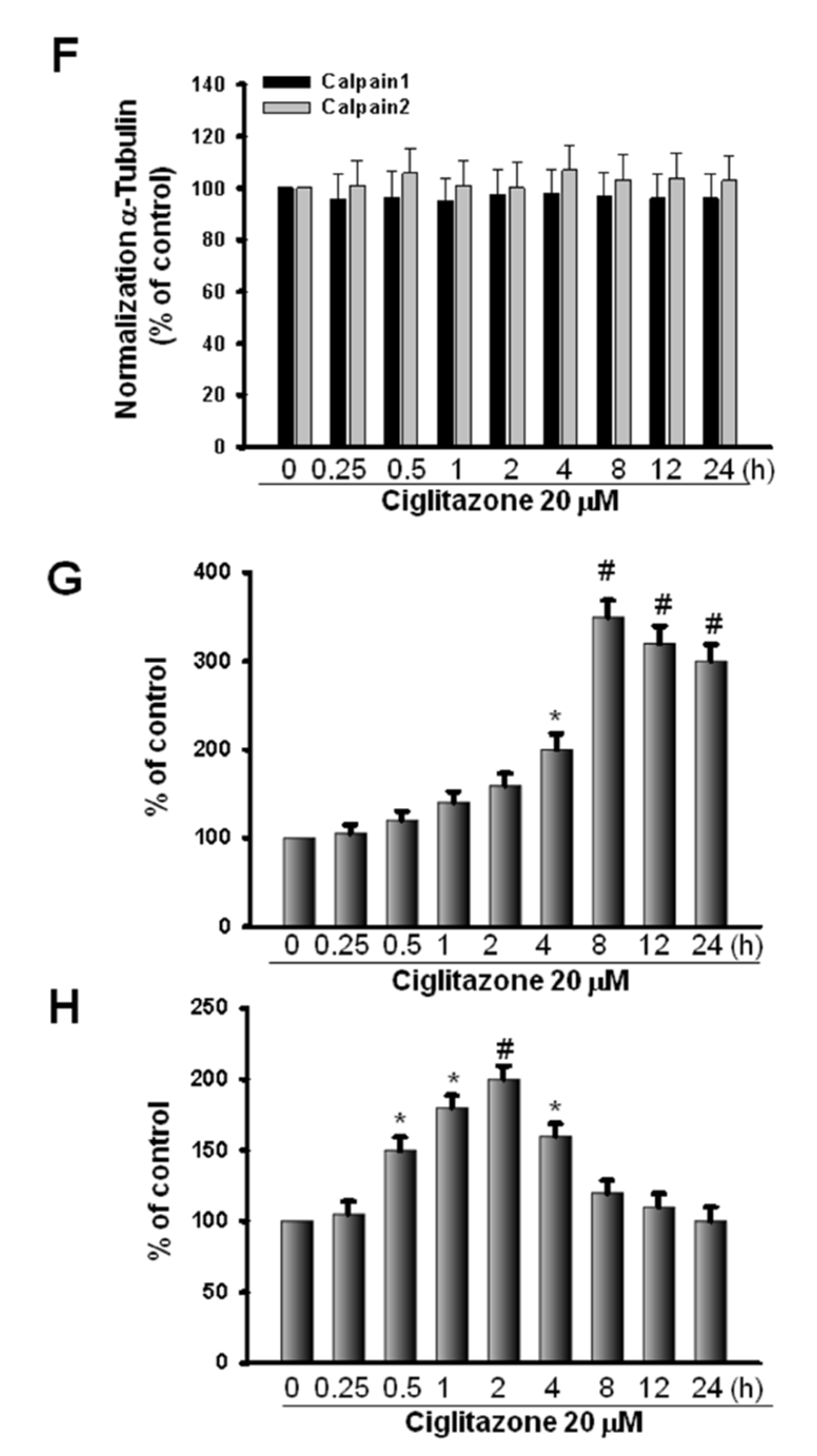 Ijms 23 13510 g007b Ijms 23 13510 g007b