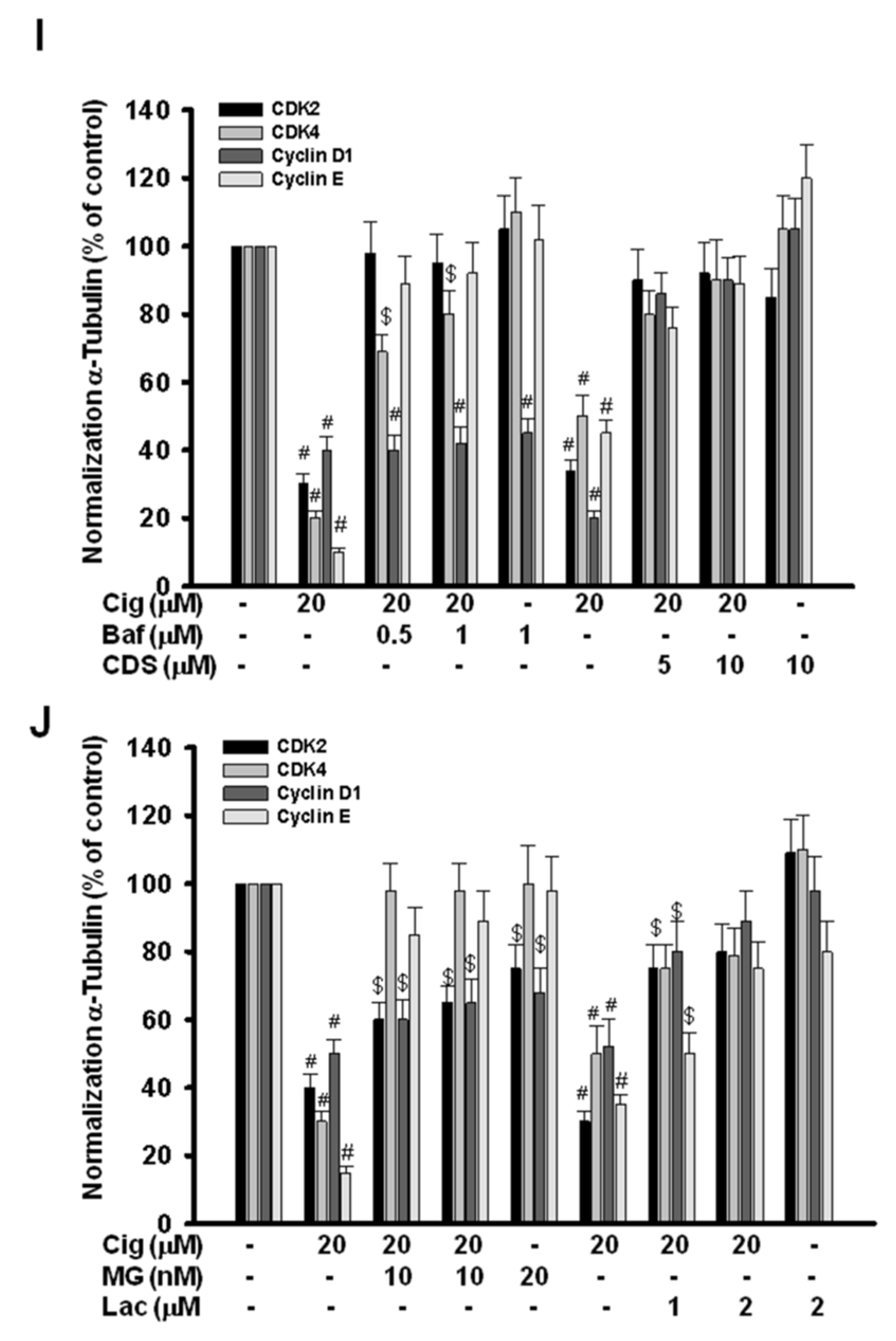 Ijms 23 13510 g007c Ijms 23 13510 g007c