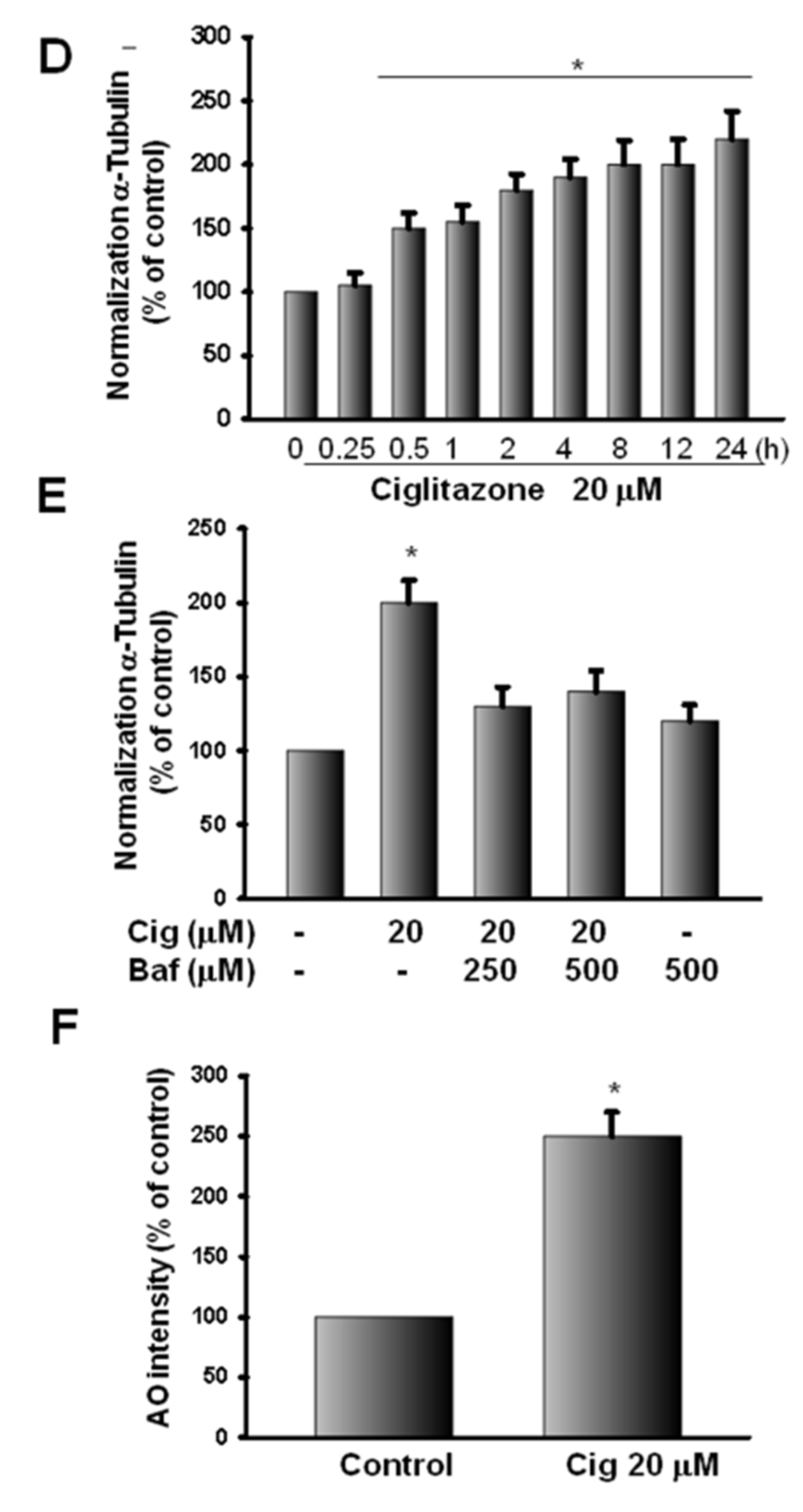 Ijms 23 13510 g008b Ijms 23 13510 g008b