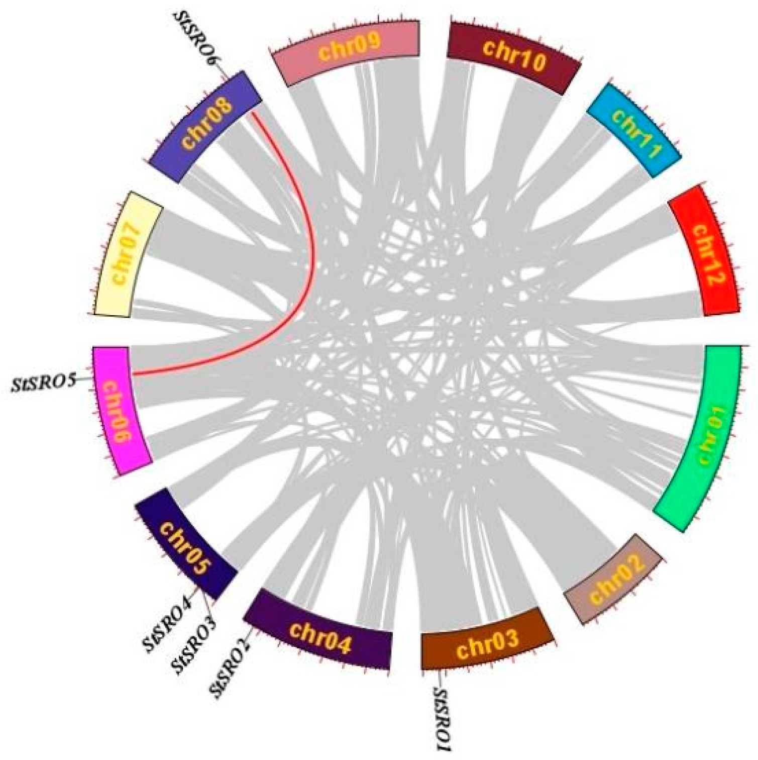 Ijms 23 13518 g004 Ijms 23 13518 g004