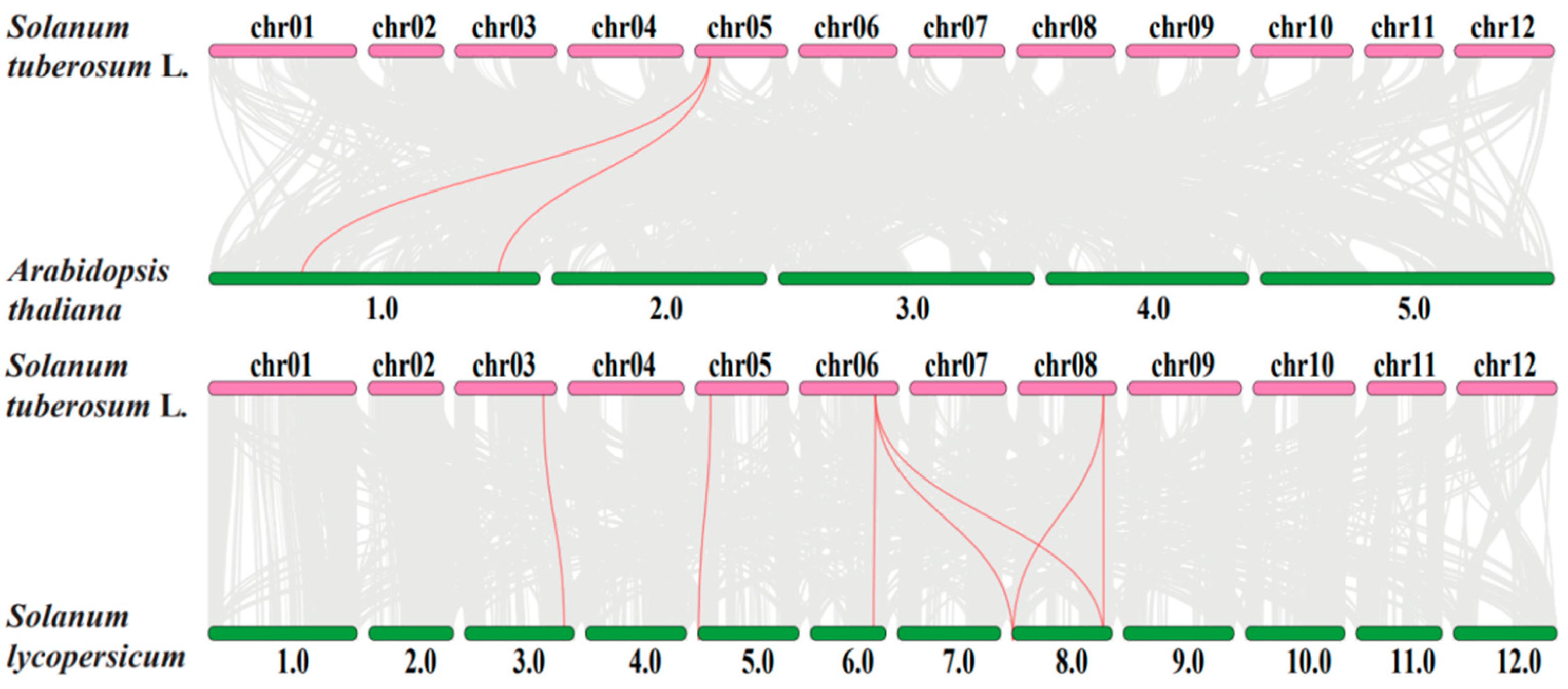 Ijms 23 13518 g005 Ijms 23 13518 g005