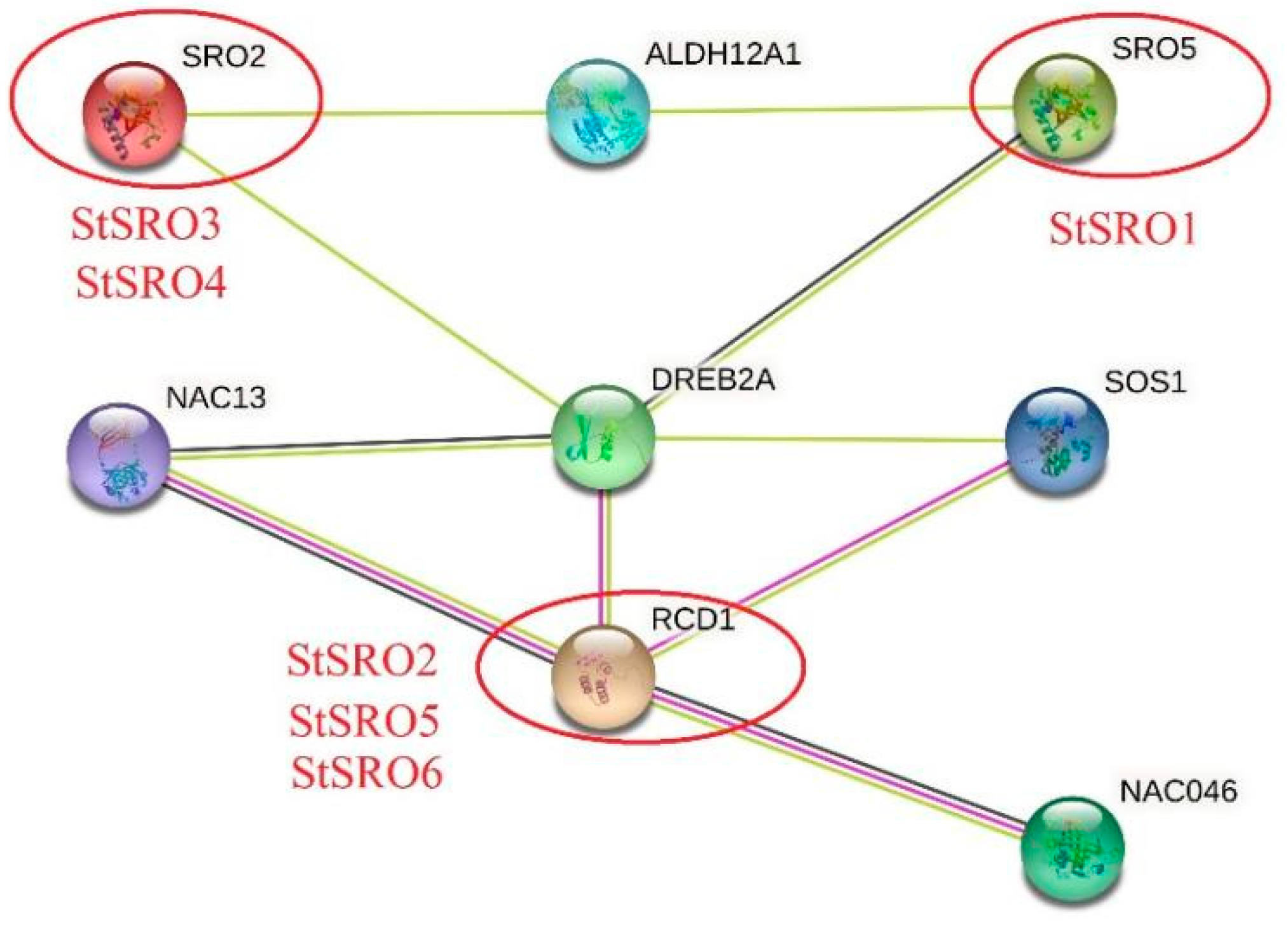 Ijms 23 13518 g008 Ijms 23 13518 g008