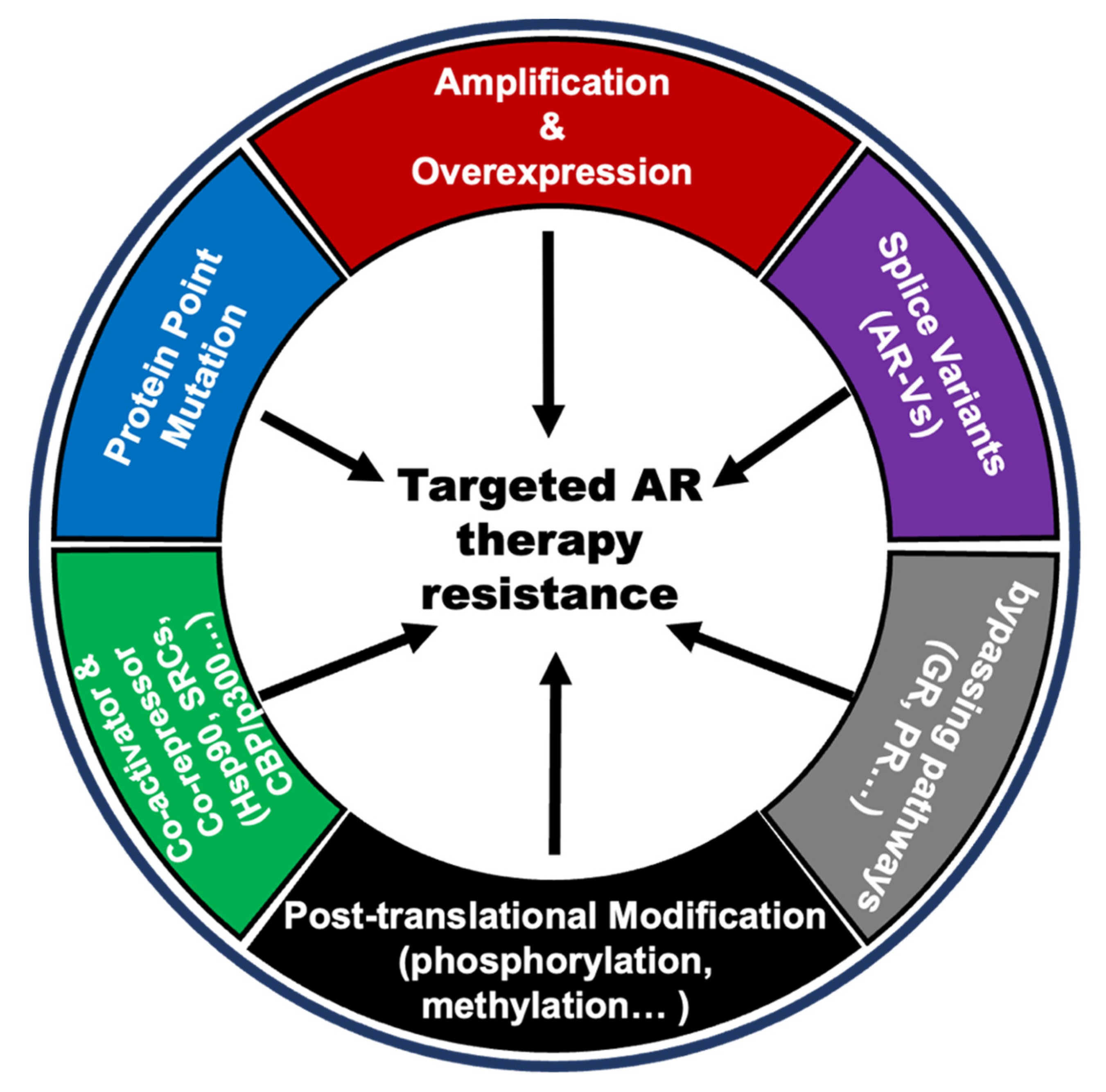 Ijms 23 13521 g003 Ijms 23 13521 g003