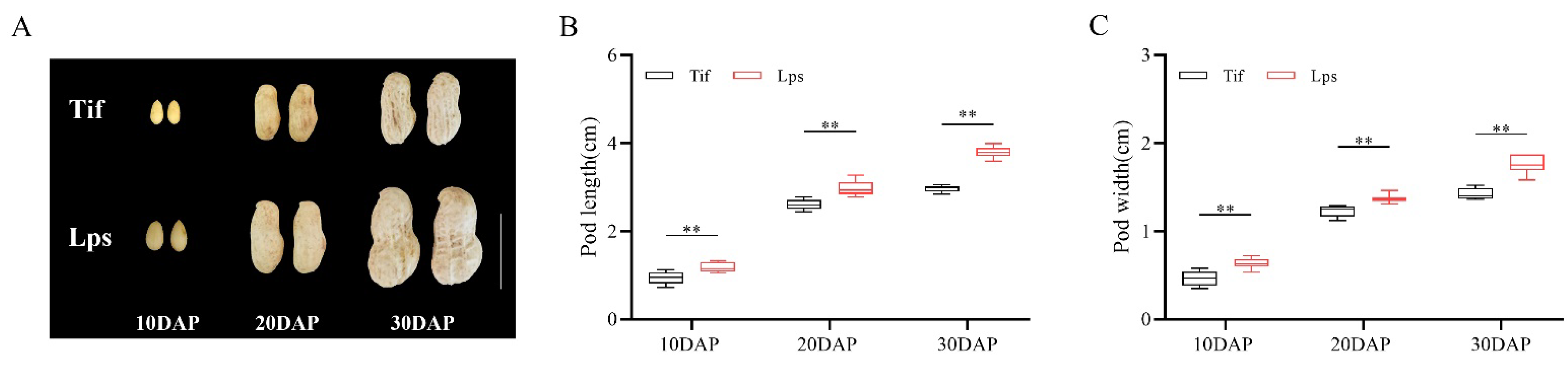 Ijms 23 13533 g001 Ijms 23 13533 g001