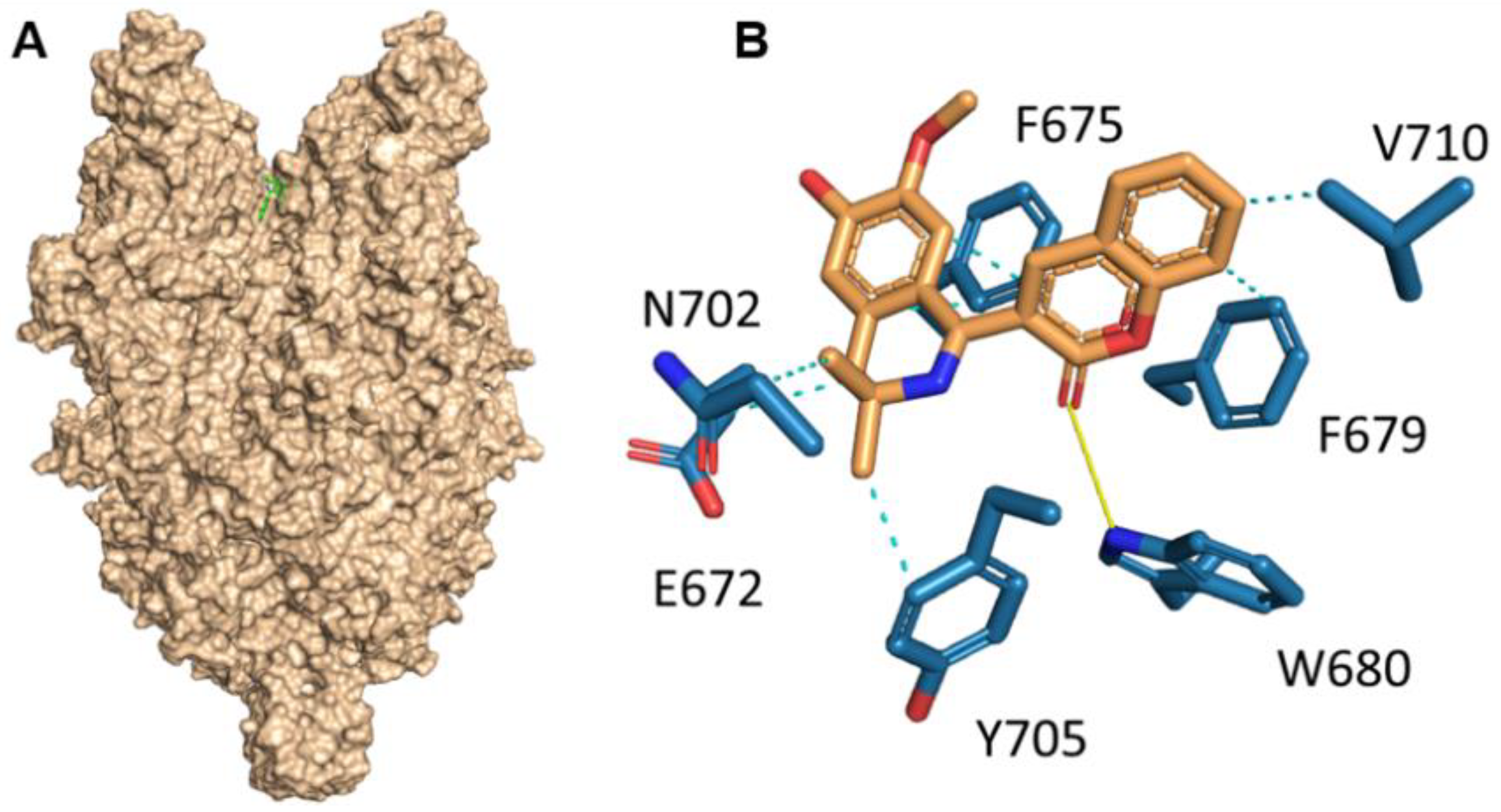 IJMS | Free Full-Text | New Positive TRPC6 Modulator Penetrates