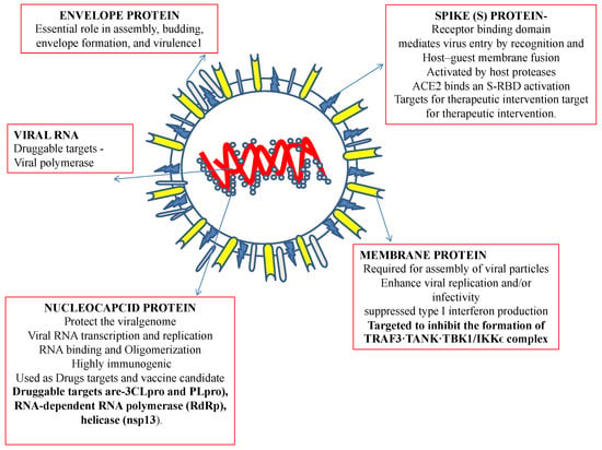 Do Artemisia annua L. compounds have SARS-CoV-2 antiviral potential?