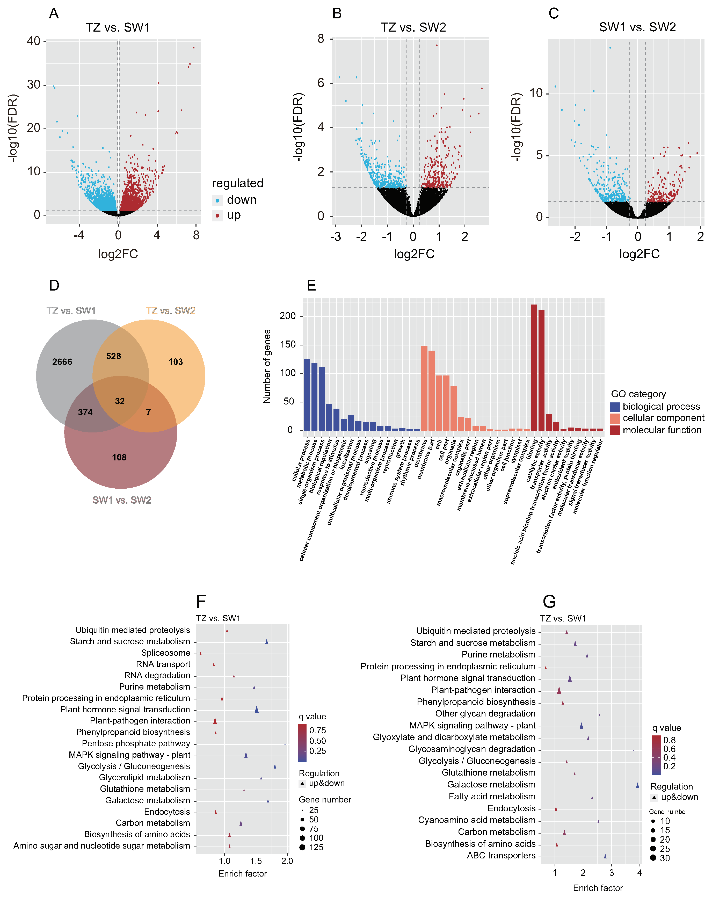 IJMS | Free Full-Text | Integrative Metabolomic And Transcriptomic ...