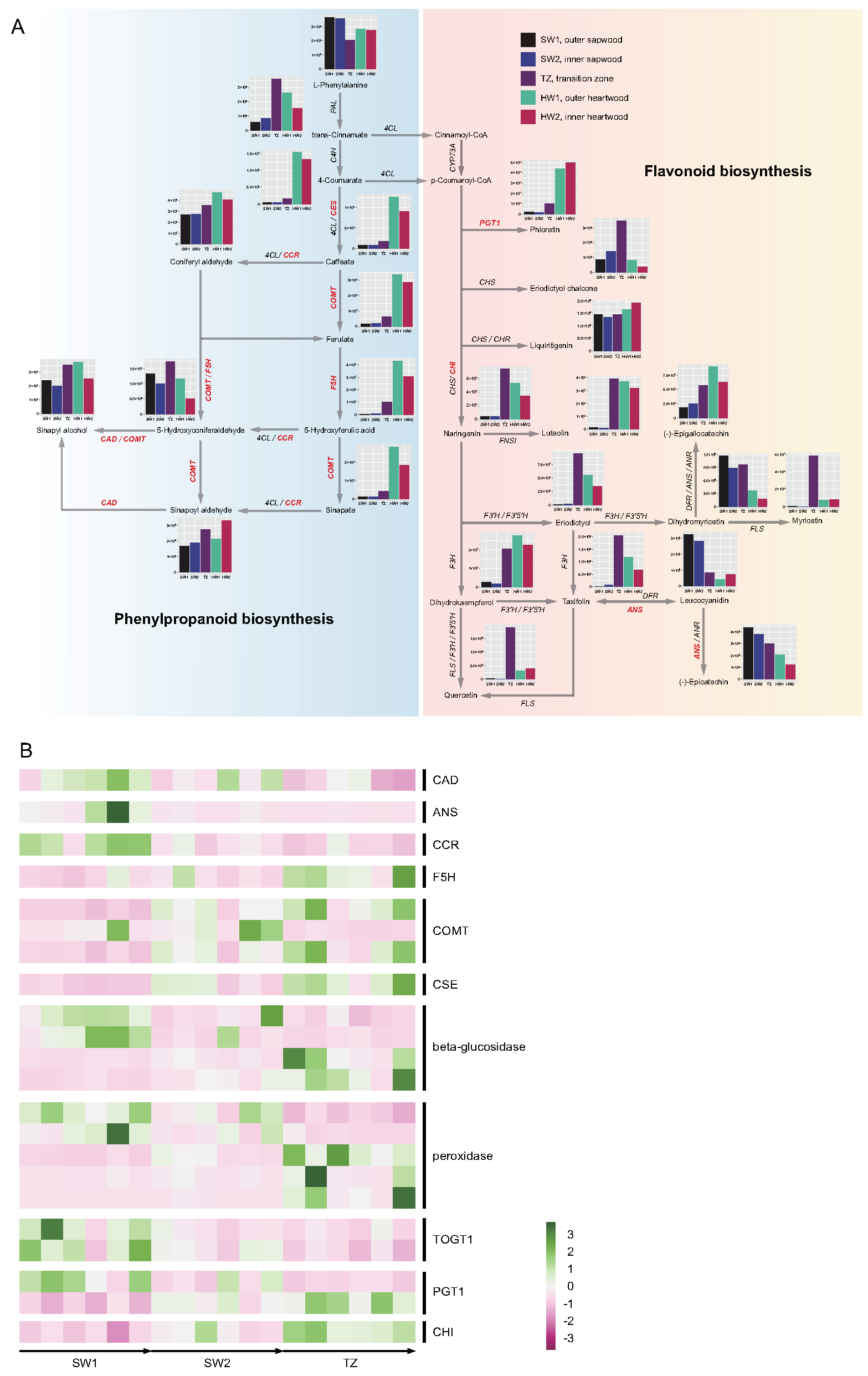 Ijms 23 13569 g006 Ijms 23 13569 g006