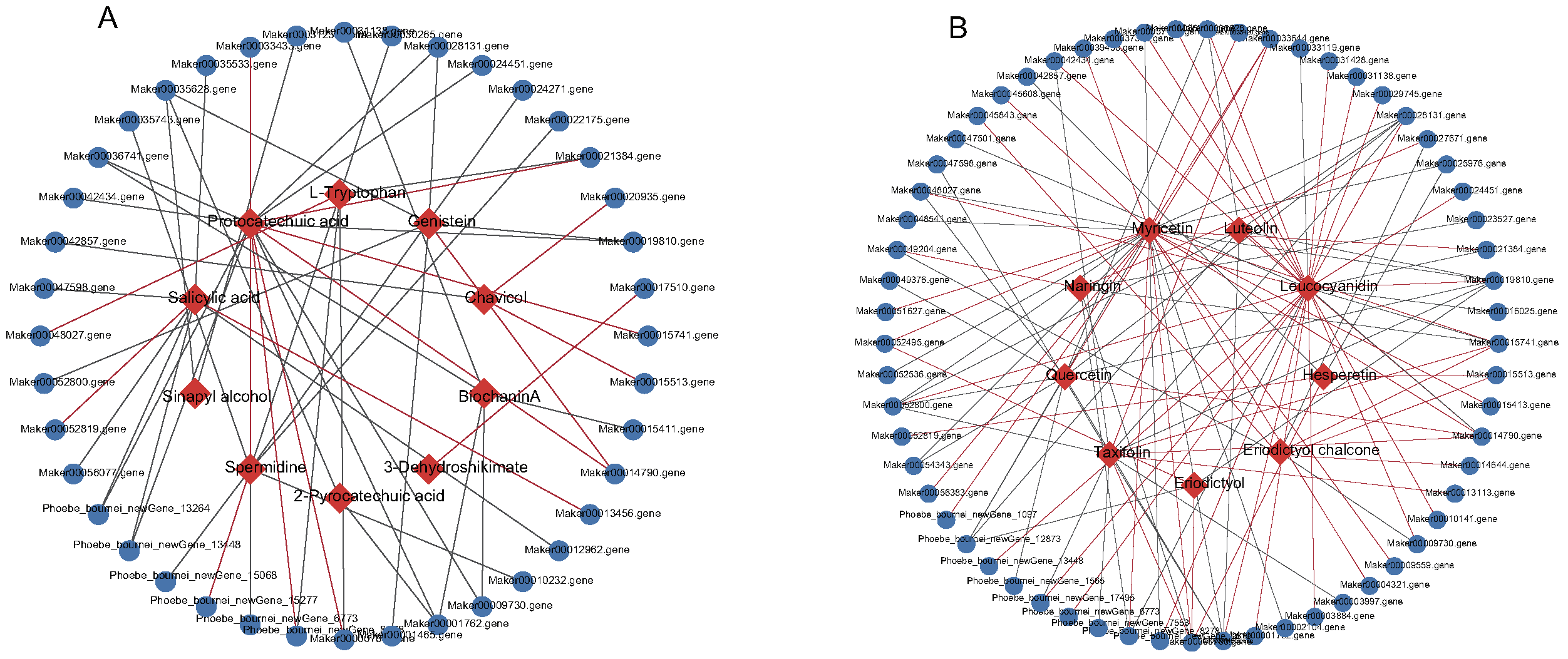 Ijms 23 13569 g007 Ijms 23 13569 g007