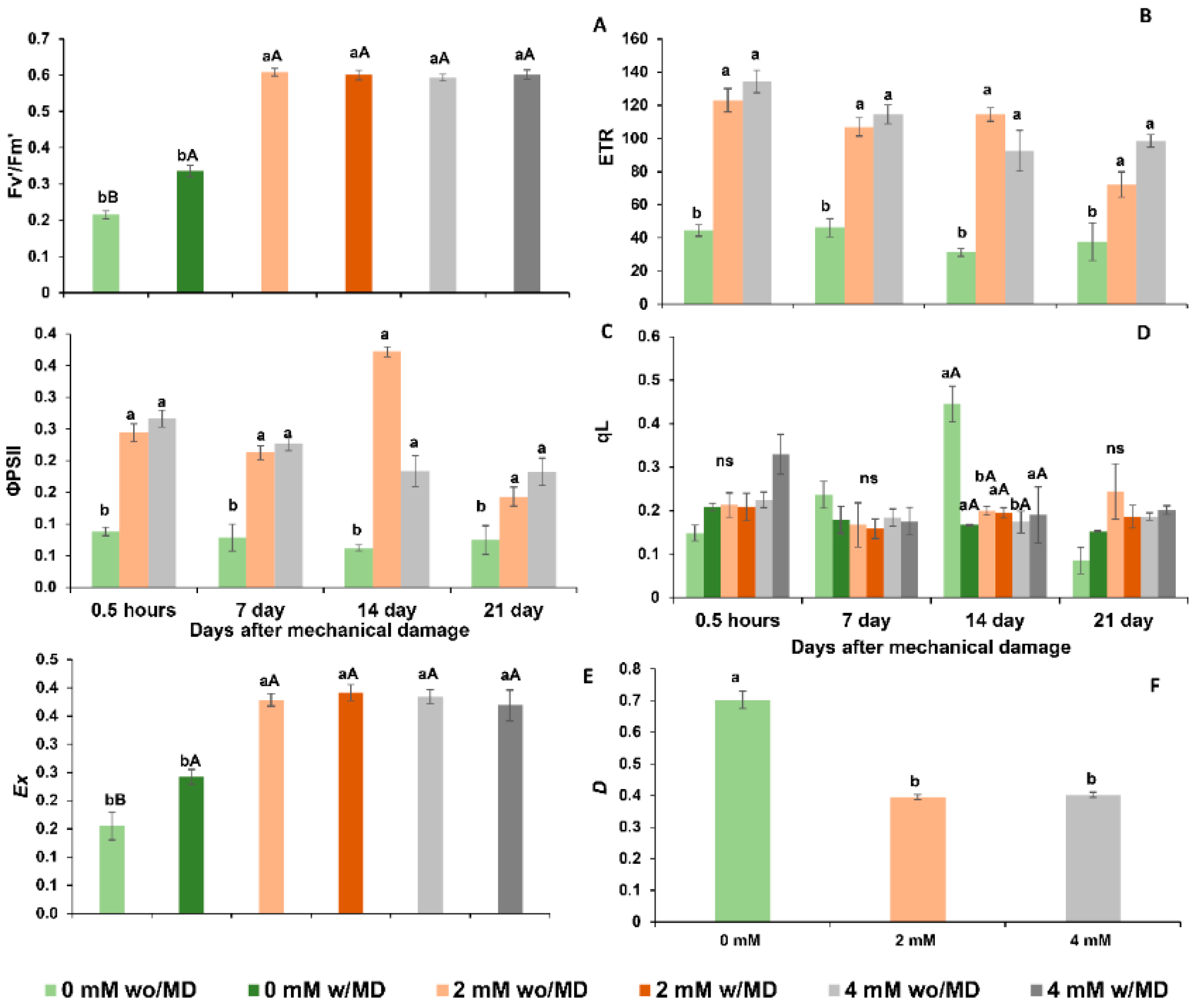 Ijms 23 13571 g006 Ijms 23 13571 g006