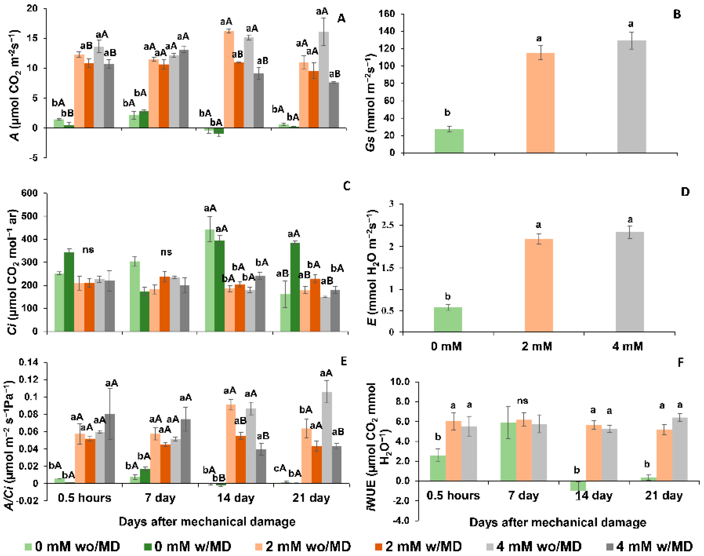Ijms 23 13571 g007 Ijms 23 13571 g007