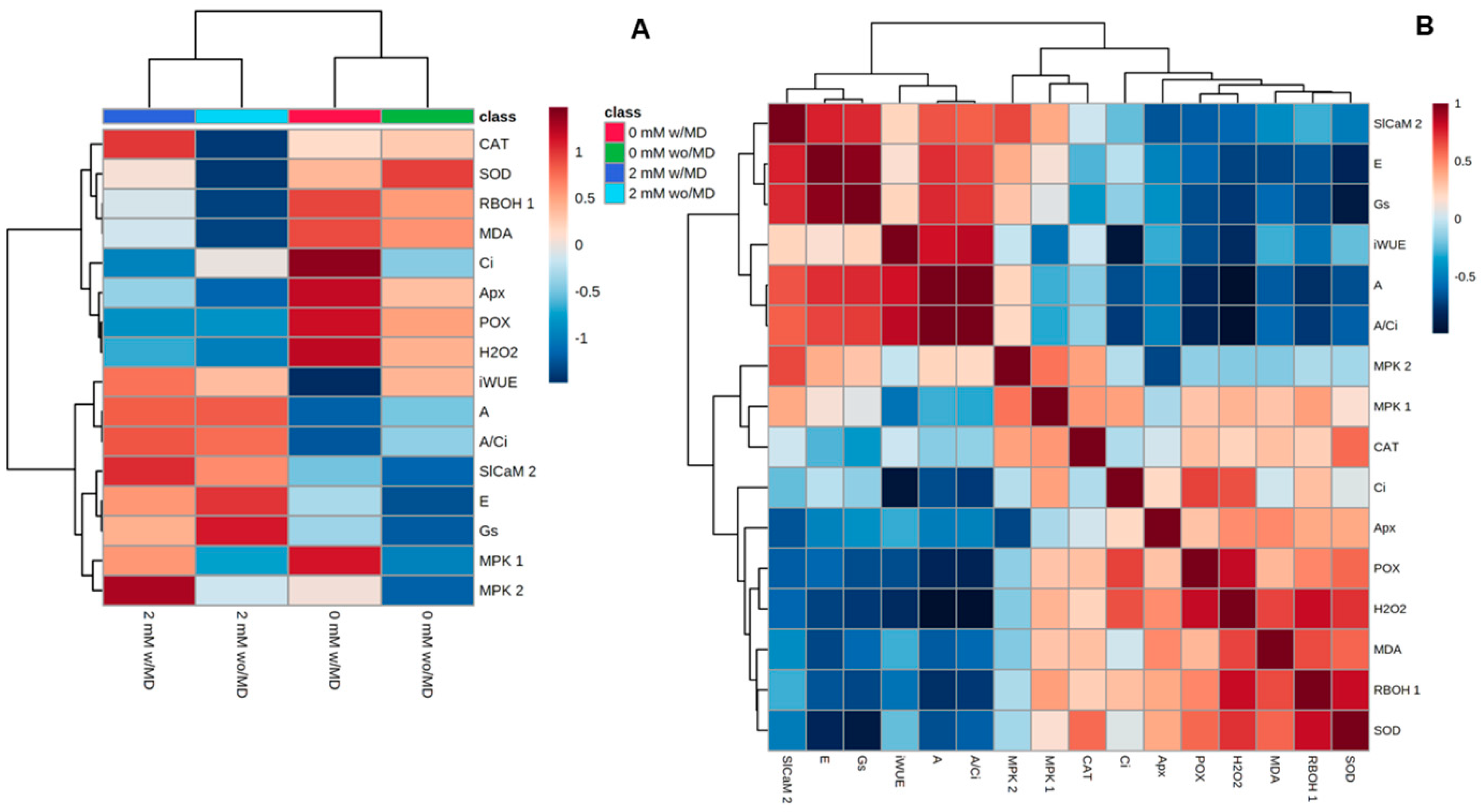 Ijms 23 13571 g009 Ijms 23 13571 g009