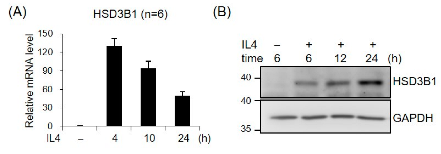 Ijms 23 13572 g001 Ijms 23 13572 g001