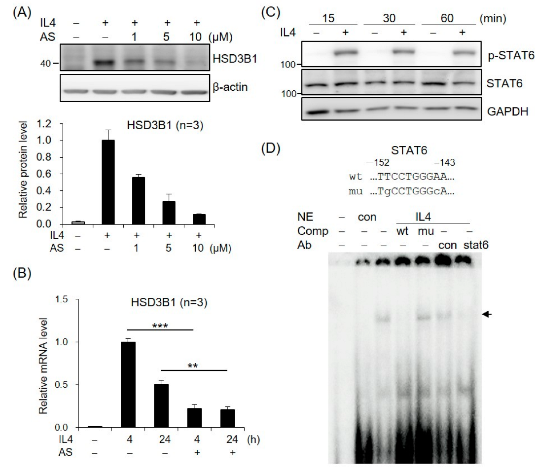 Ijms 23 13572 g002 Ijms 23 13572 g002