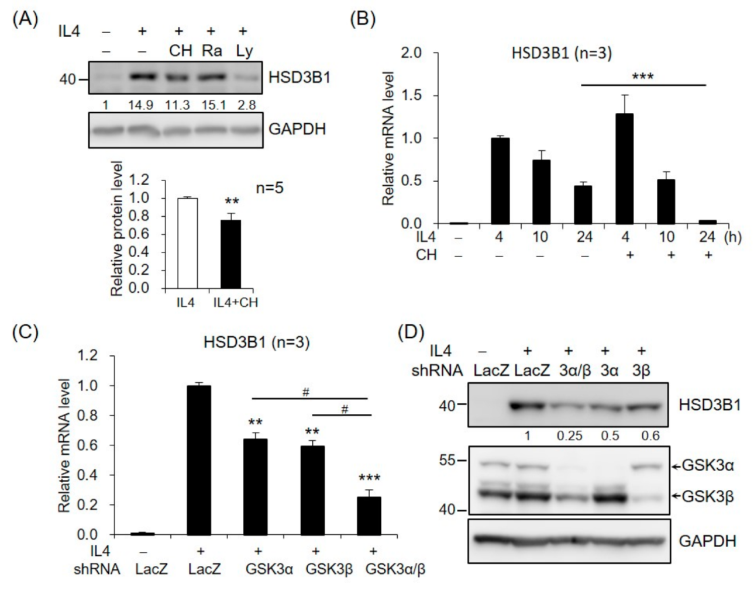 Ijms 23 13572 g004 Ijms 23 13572 g004