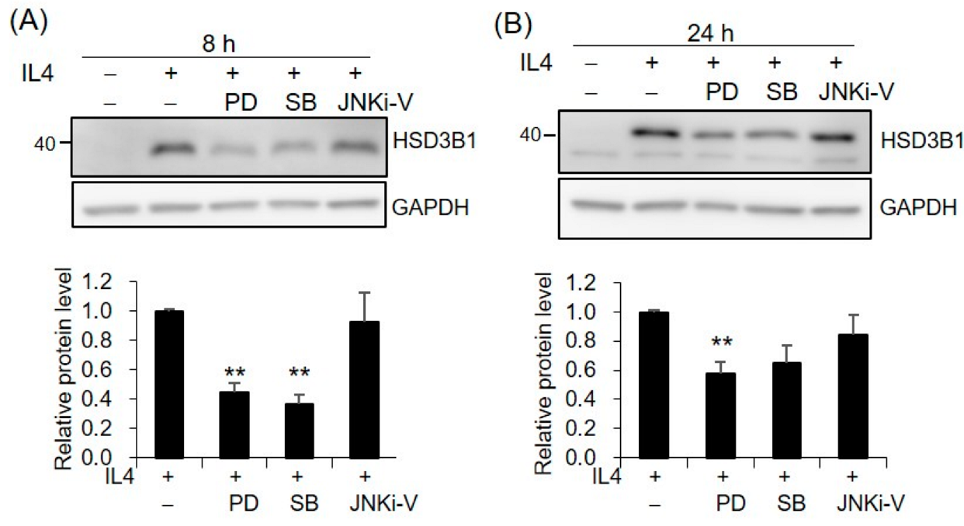 Ijms 23 13572 g005 Ijms 23 13572 g005