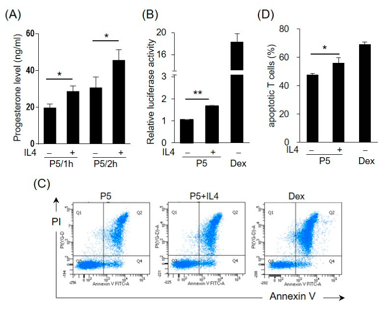 Ijms 23 13572 g006 Ijms 23 13572 g006