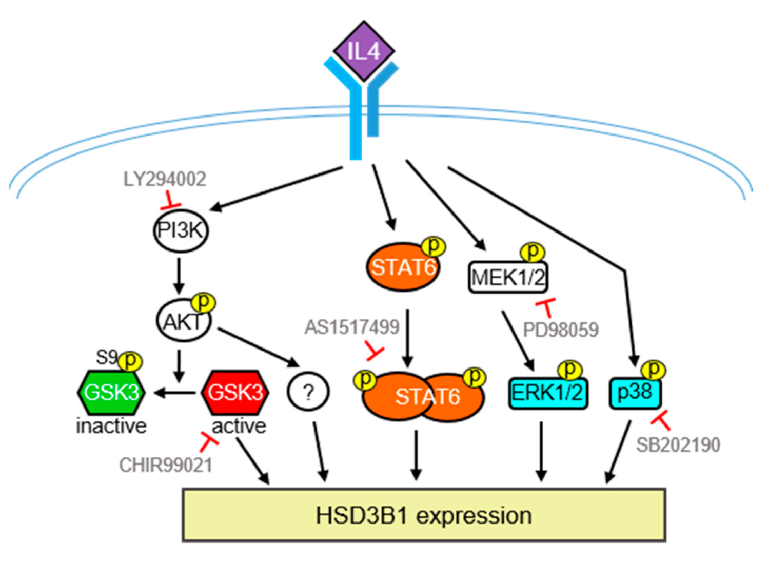 Ijms 23 13572 g007 Ijms 23 13572 g007