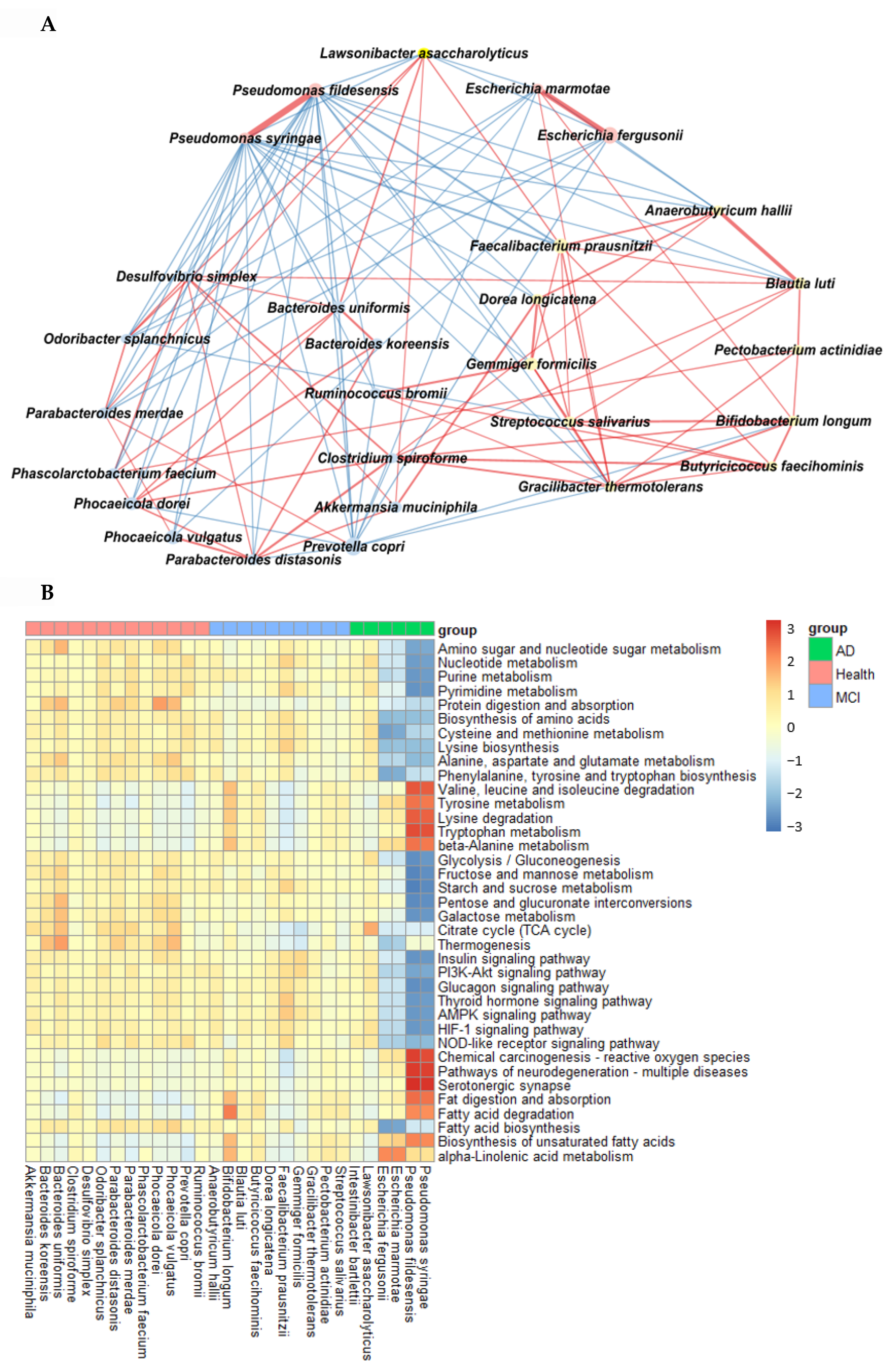 Ijms 23 13574 g004 Ijms 23 13574 g004
