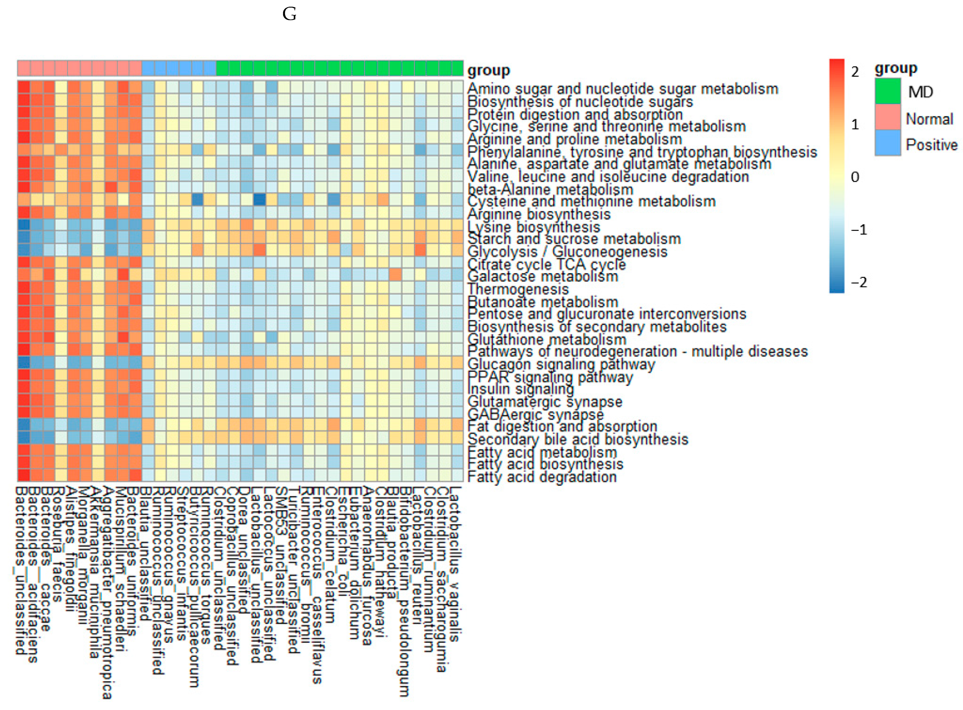 Ijms 23 13574 g006d Ijms 23 13574 g006d