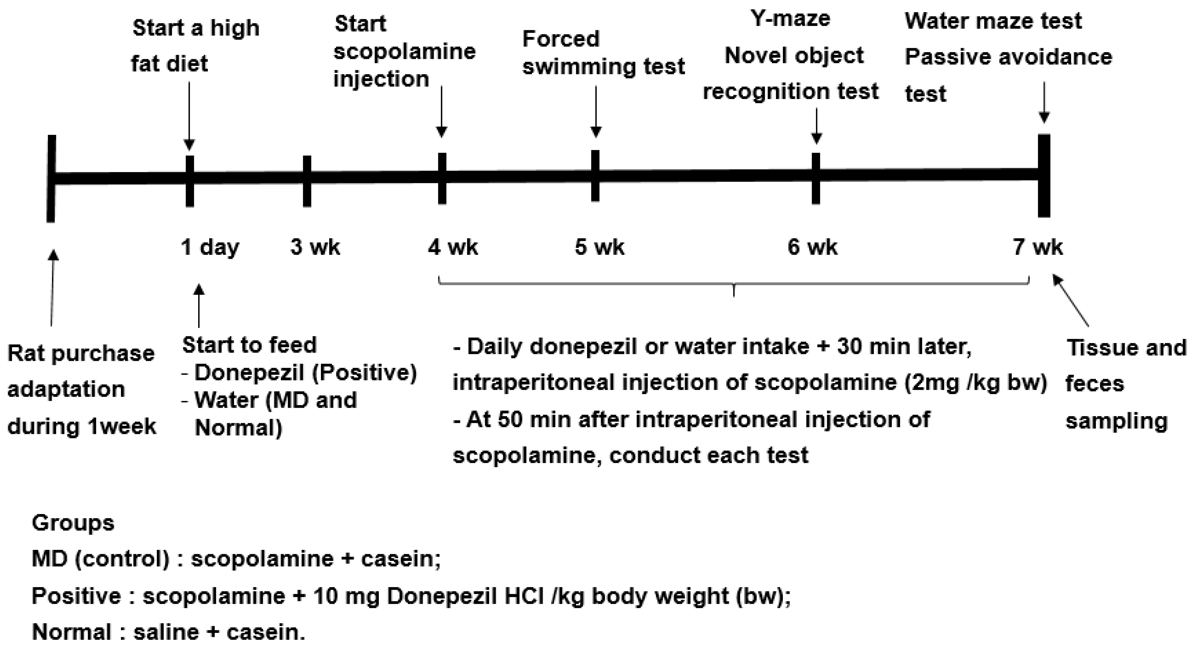 Ijms 23 13574 g008 Ijms 23 13574 g008
