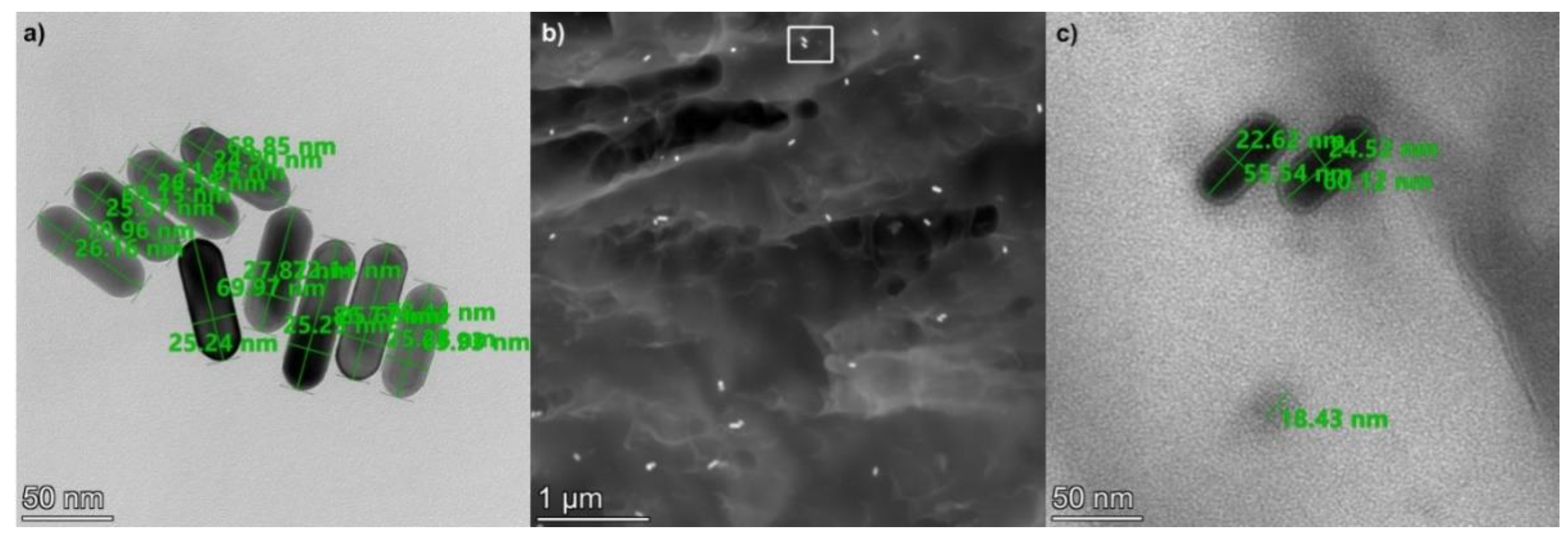 Ijms 23 13575 g002 Ijms 23 13575 g002