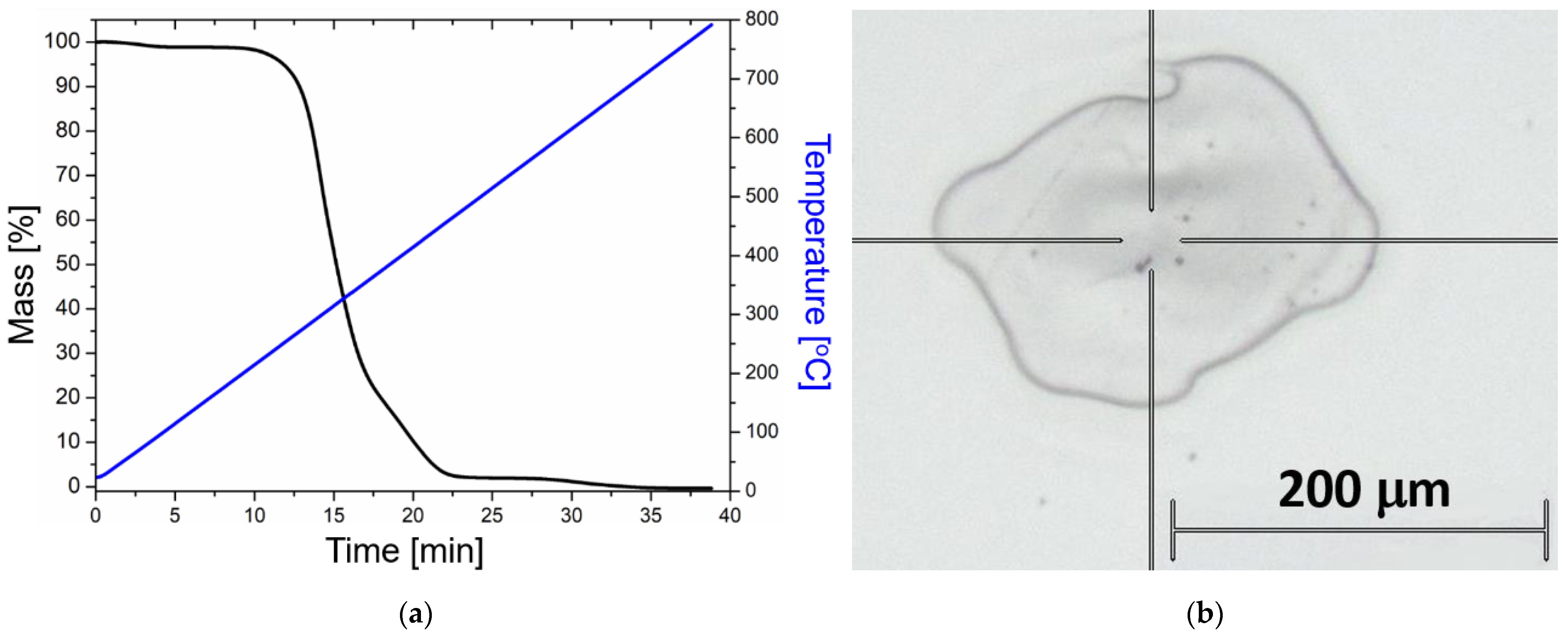 Ijms 23 13575 g005 Ijms 23 13575 g005