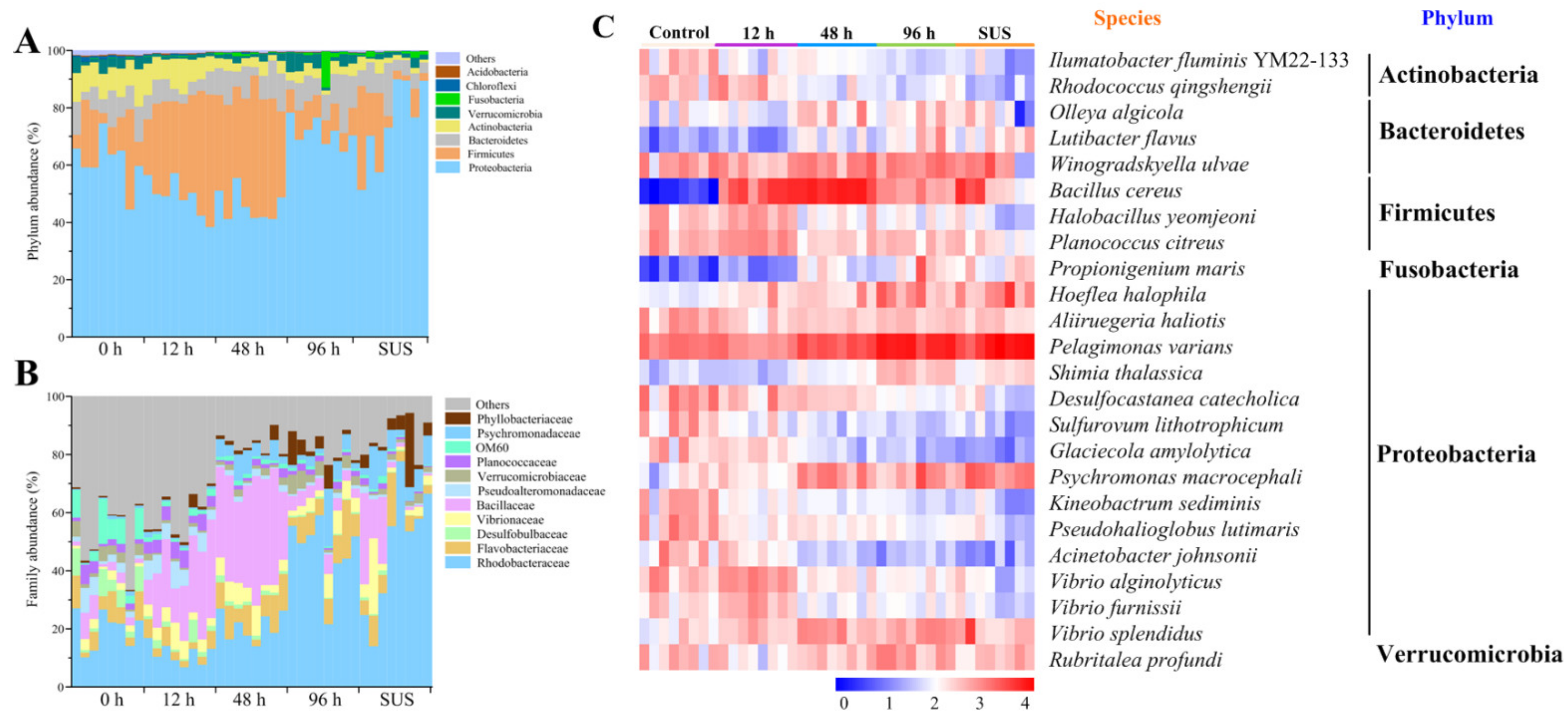Ijms 23 13583 g003 Ijms 23 13583 g003