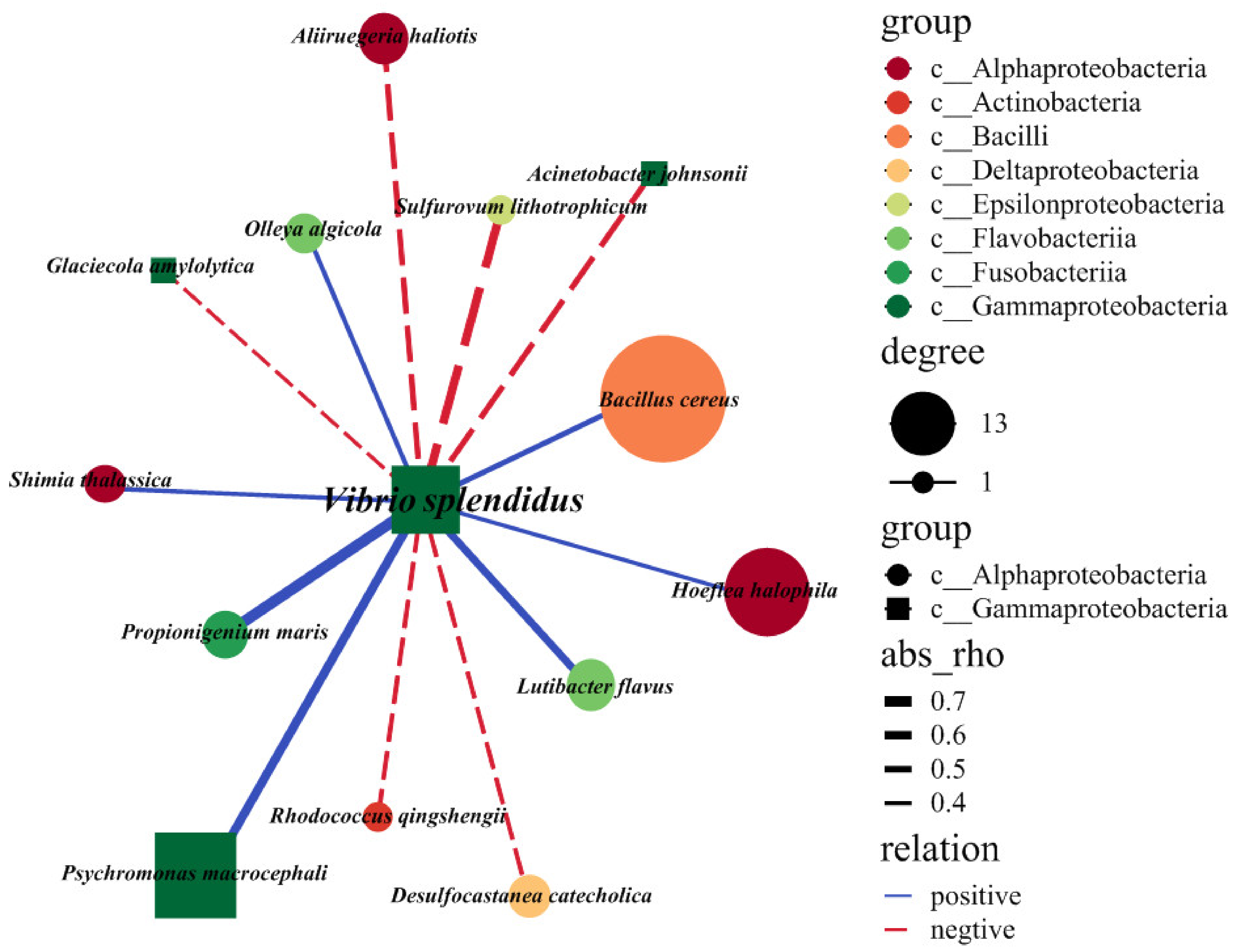 Ijms 23 13583 g004 Ijms 23 13583 g004