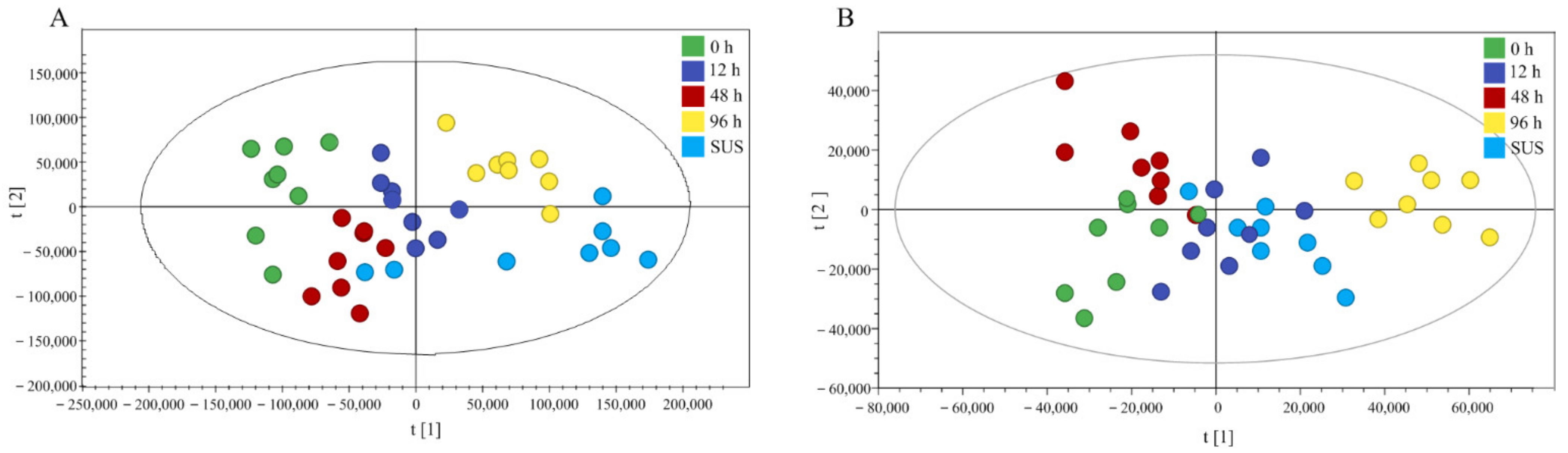 Ijms 23 13583 g005 Ijms 23 13583 g005