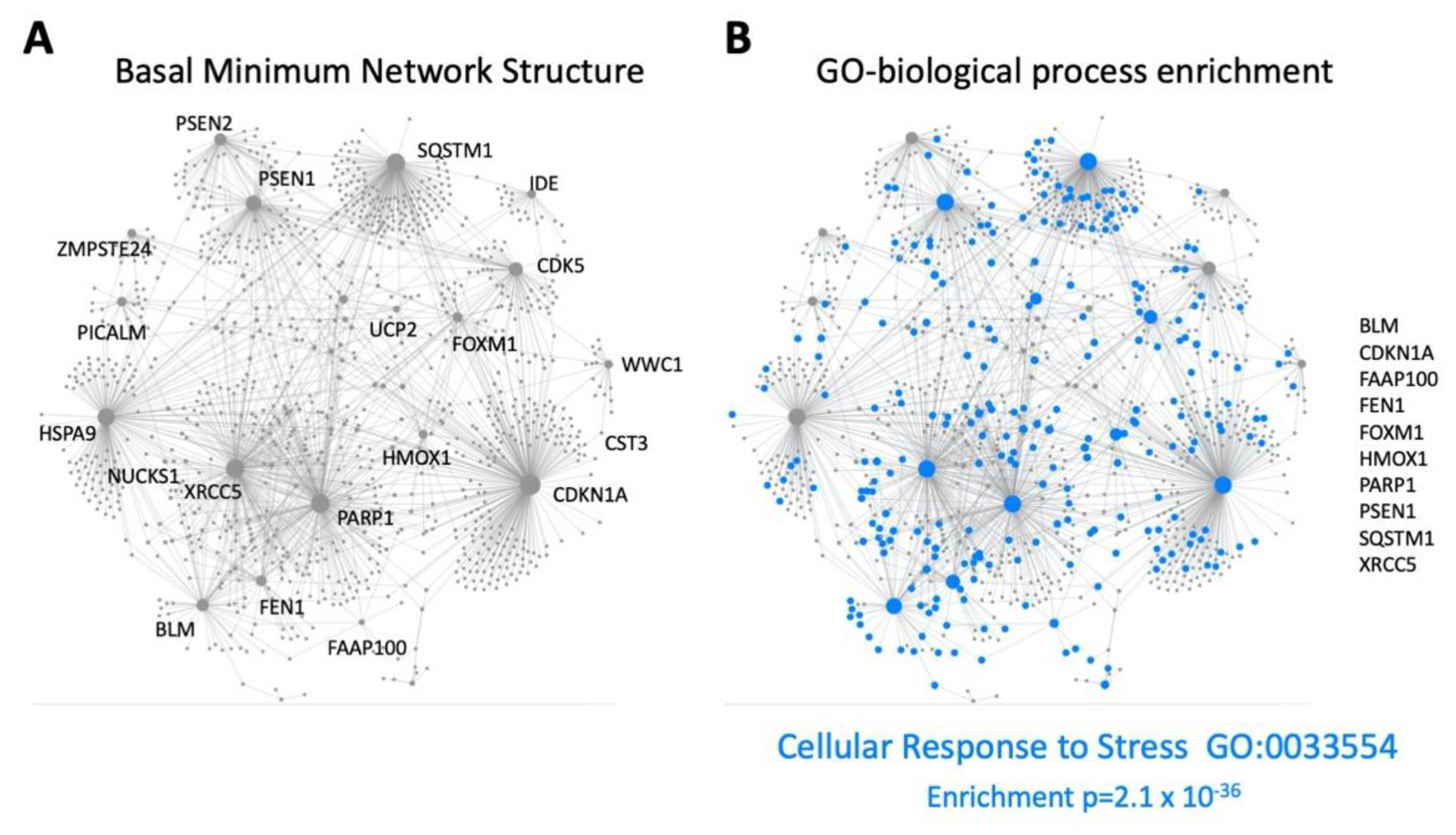Ijms 23 13598 g006 Ijms 23 13598 g006