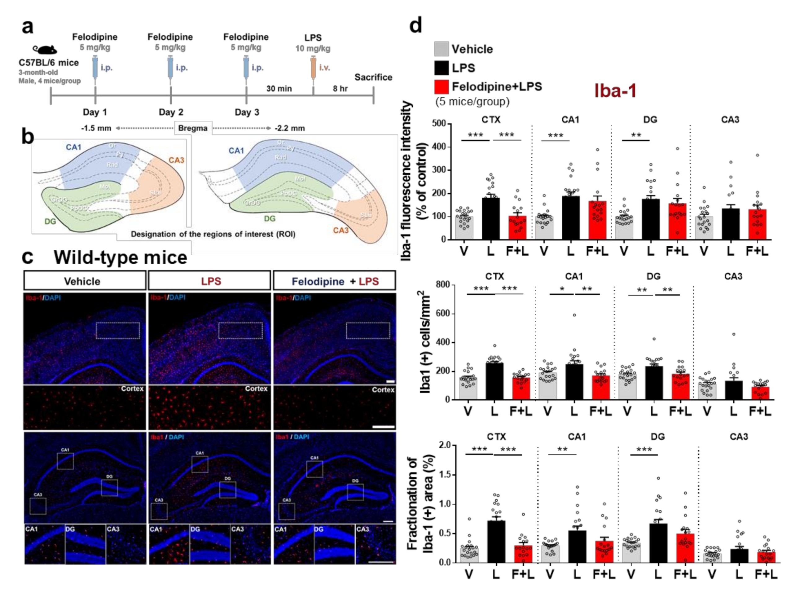 Ijms 23 13606 g004 Ijms 23 13606 g004