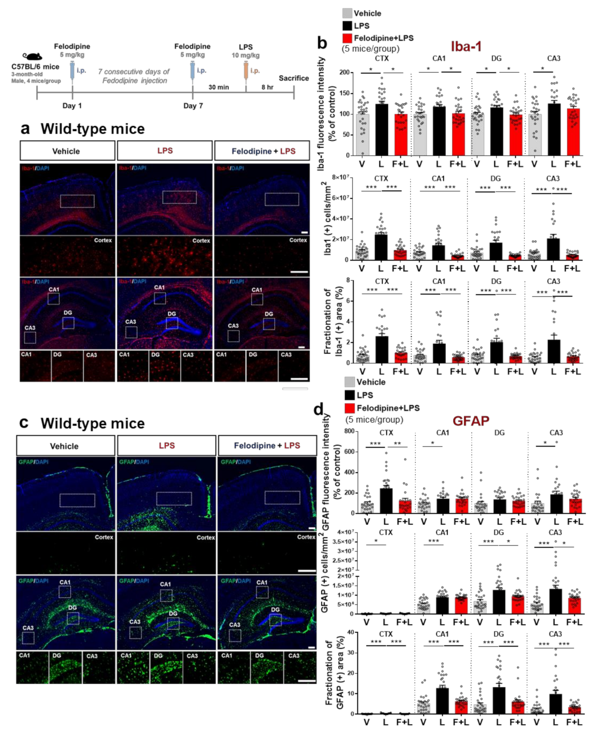 Ijms 23 13606 g006 Ijms 23 13606 g006