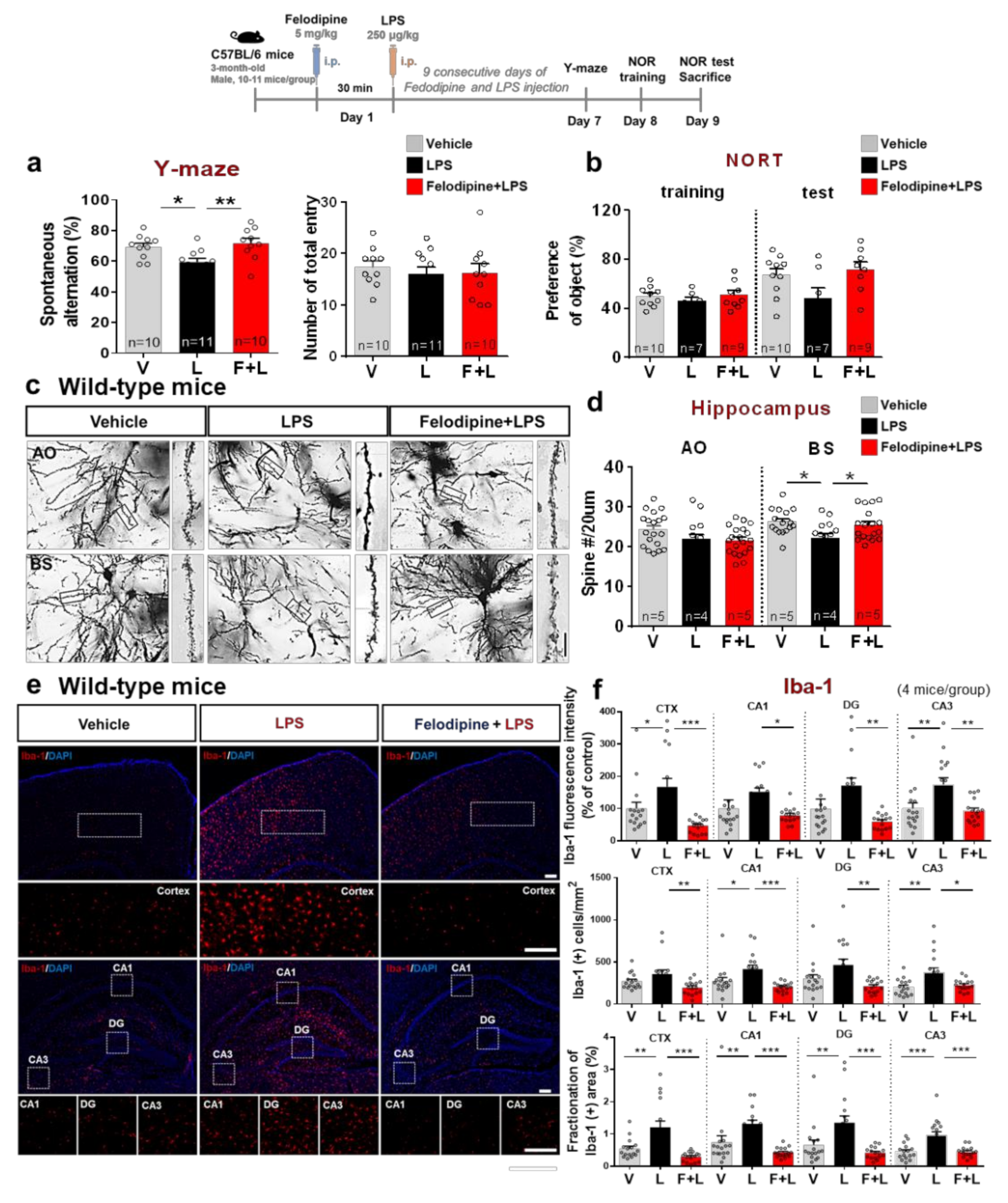 Ijms 23 13606 g008 Ijms 23 13606 g008