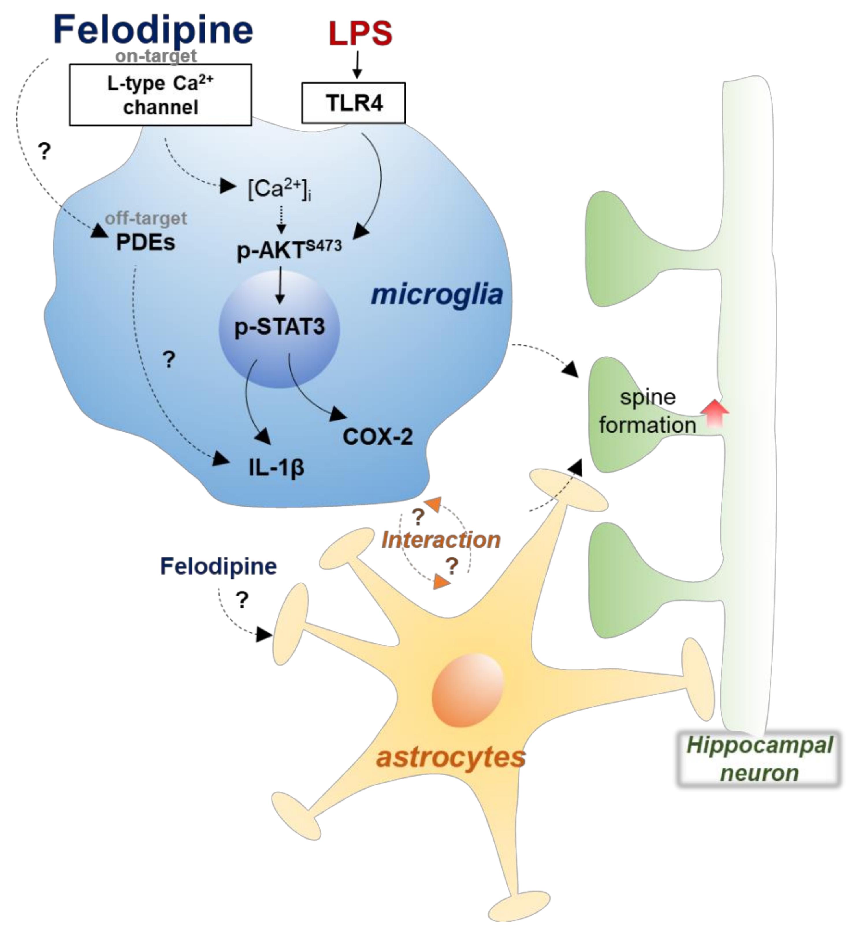 Ijms 23 13606 g009 Ijms 23 13606 g009