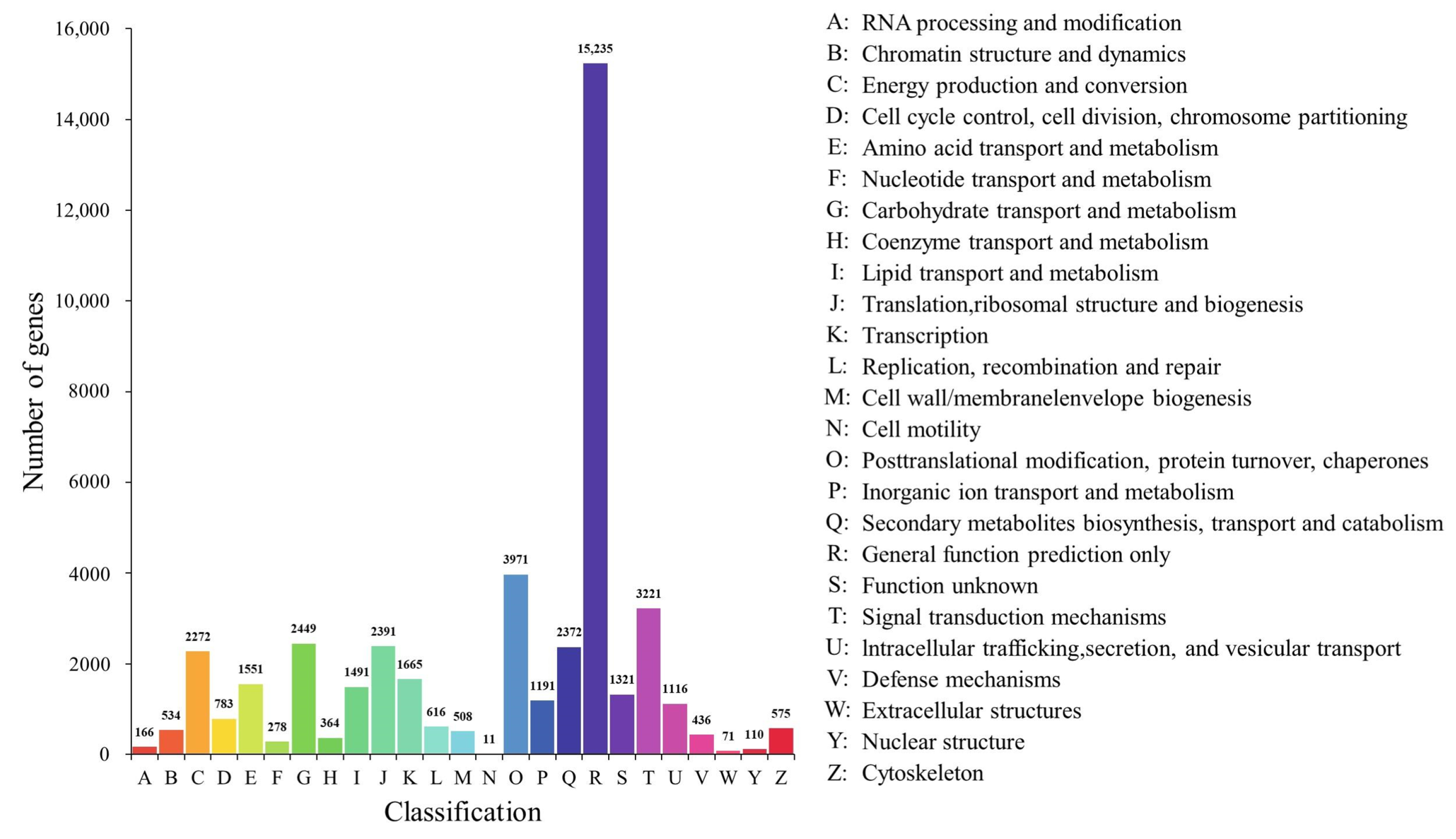Ijms 23 13608 g006 Ijms 23 13608 g006