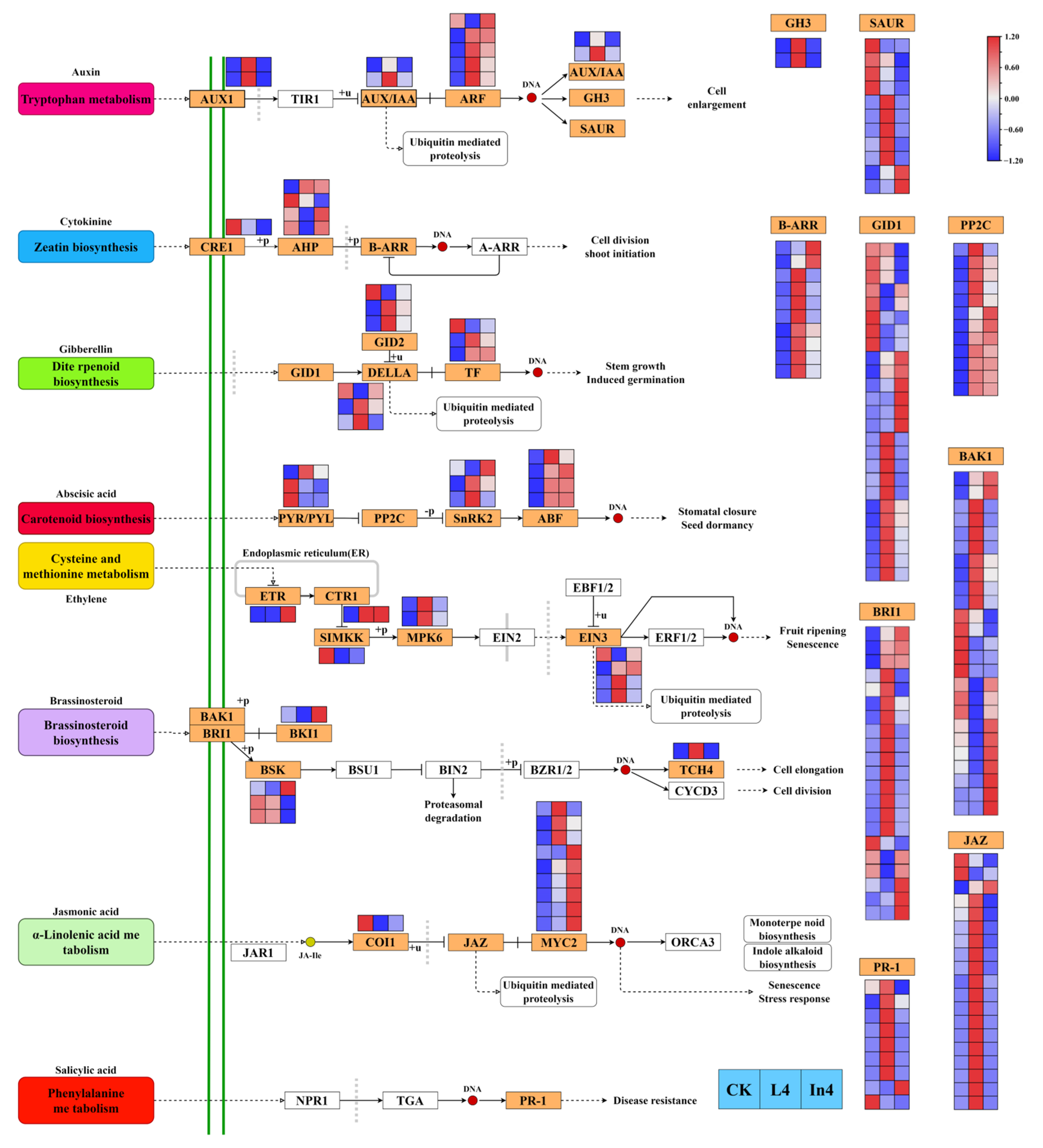 Ijms 23 13608 g009 Ijms 23 13608 g009