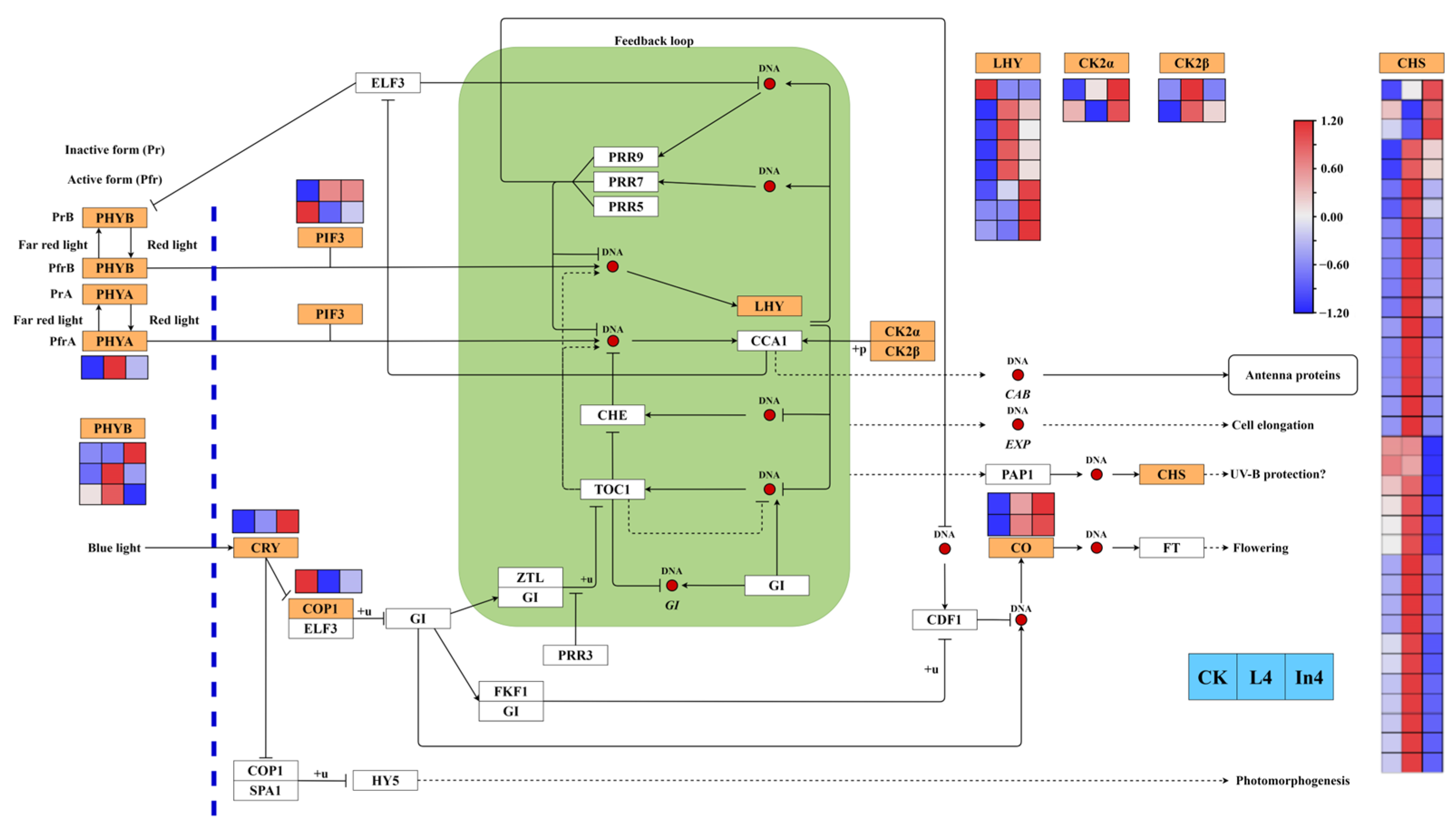 Ijms 23 13608 g010 Ijms 23 13608 g010