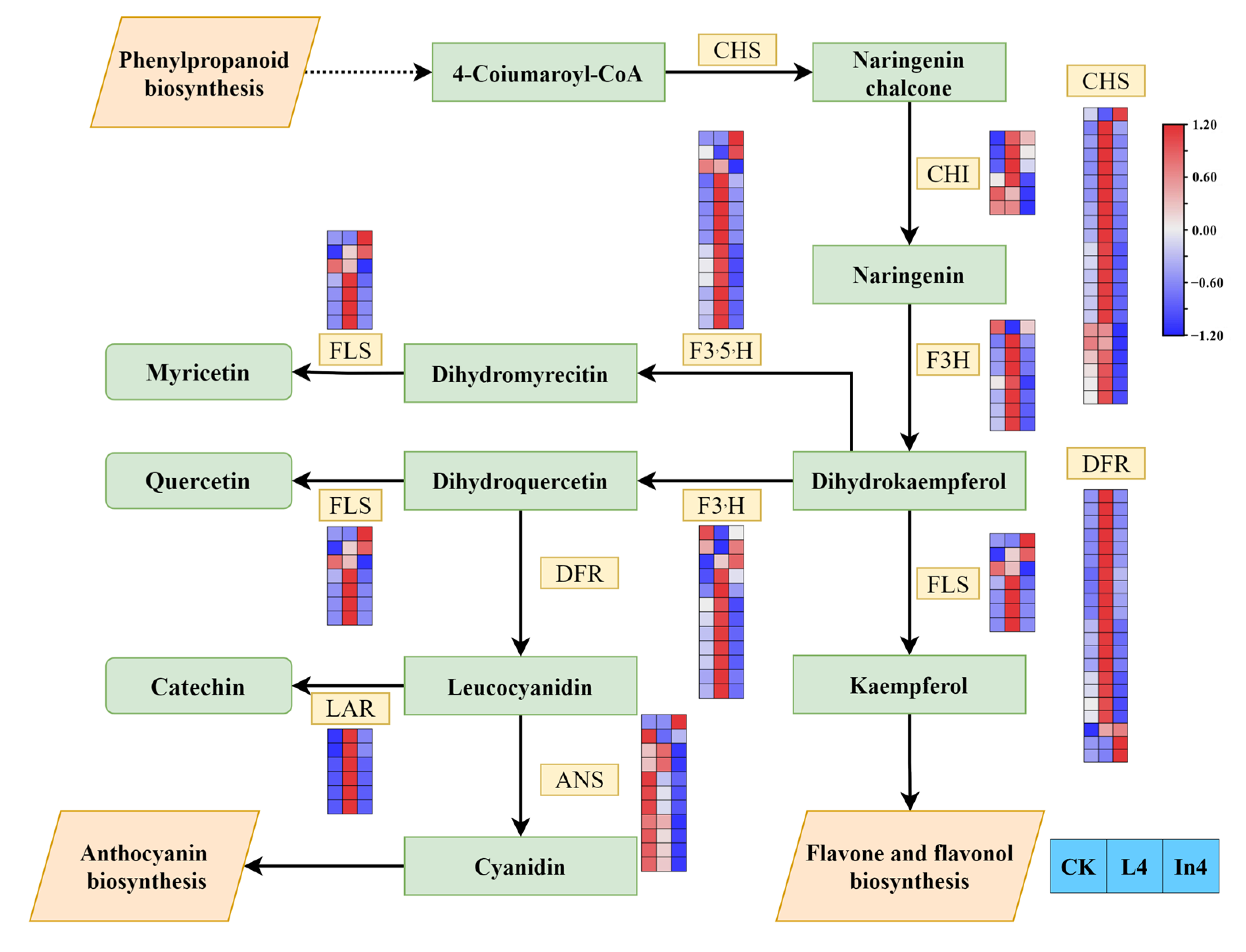 Ijms 23 13608 g011 Ijms 23 13608 g011