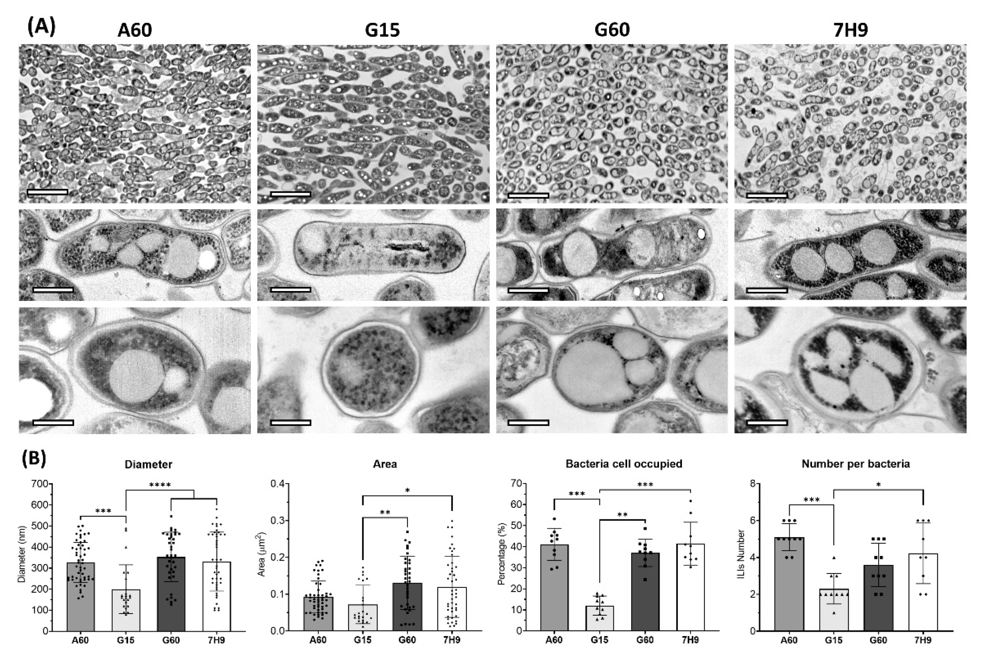 Ijms 23 13609 g002 Ijms 23 13609 g002