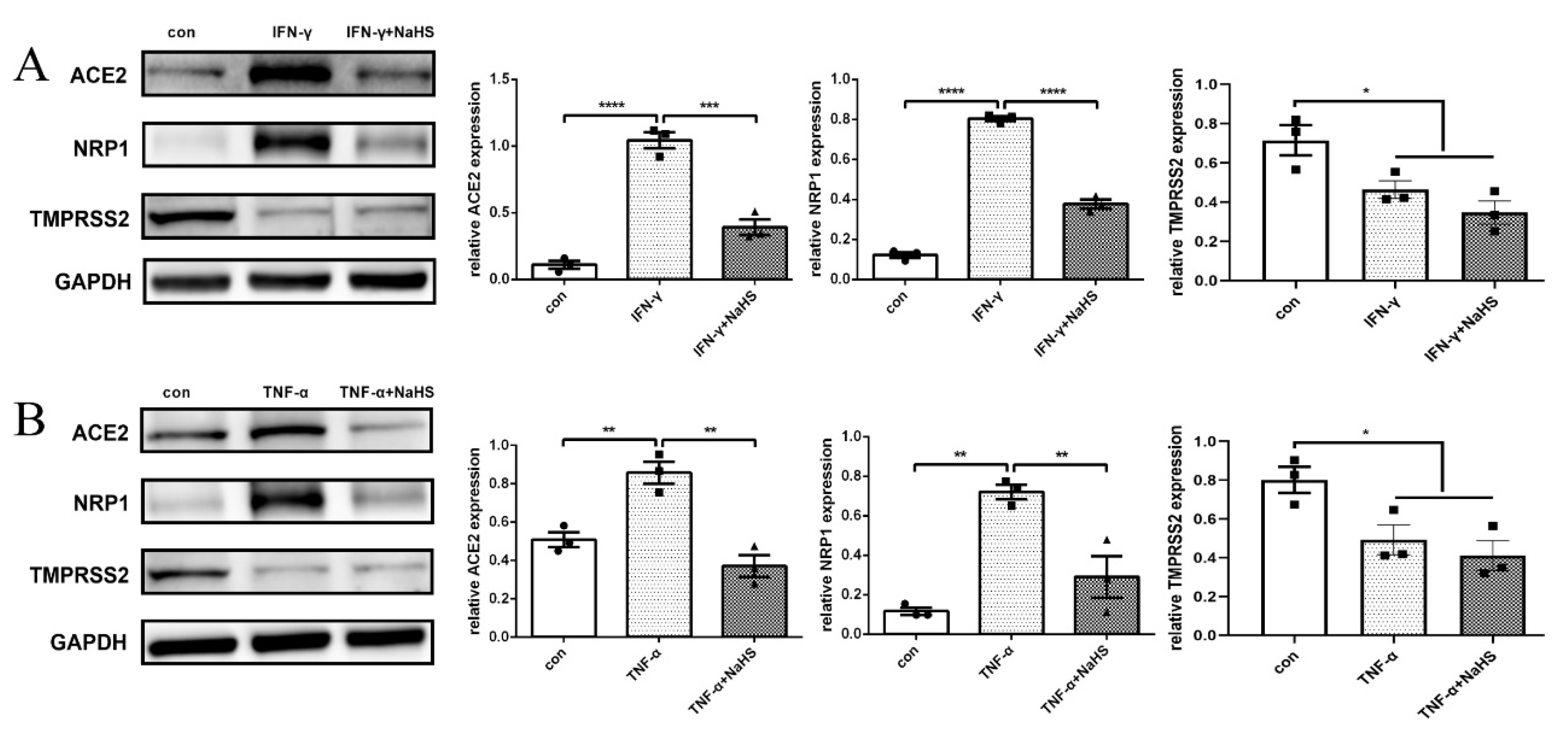 Ijms 23 13624 g004 Ijms 23 13624 g004