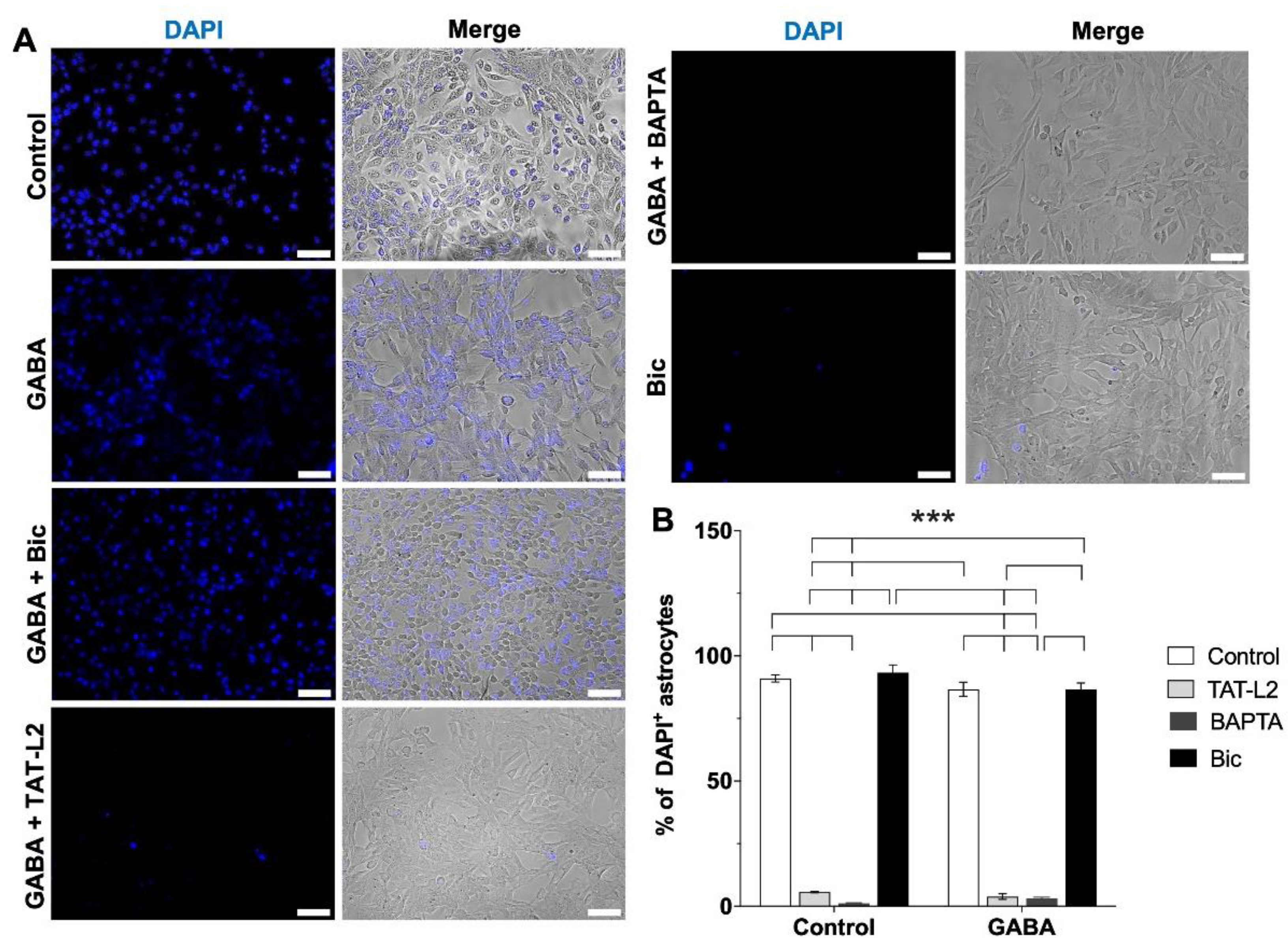 Ijms 23 13625 g001 Ijms 23 13625 g001