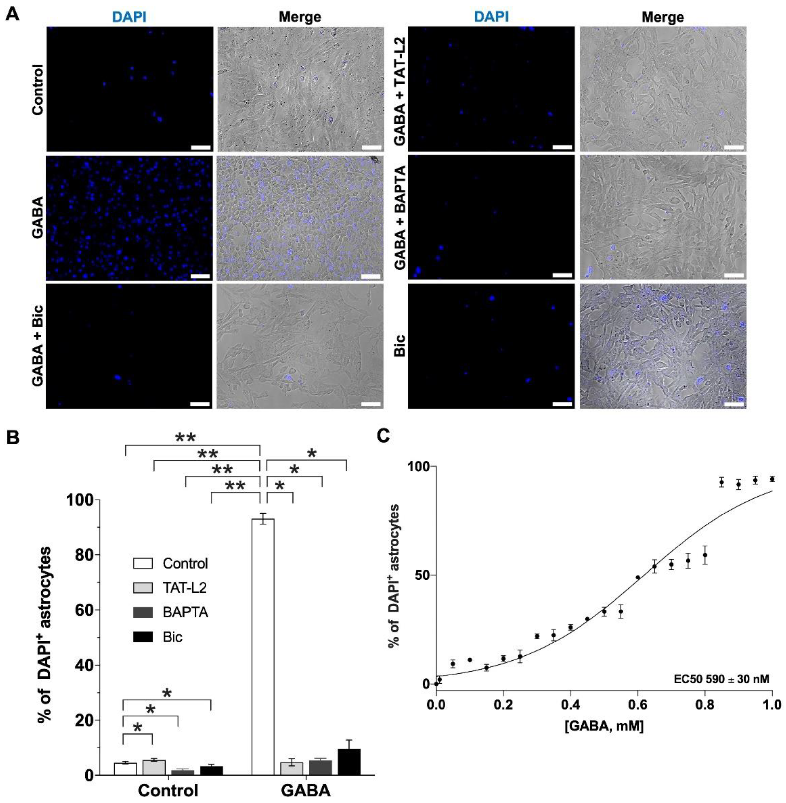 Ijms 23 13625 g002 Ijms 23 13625 g002