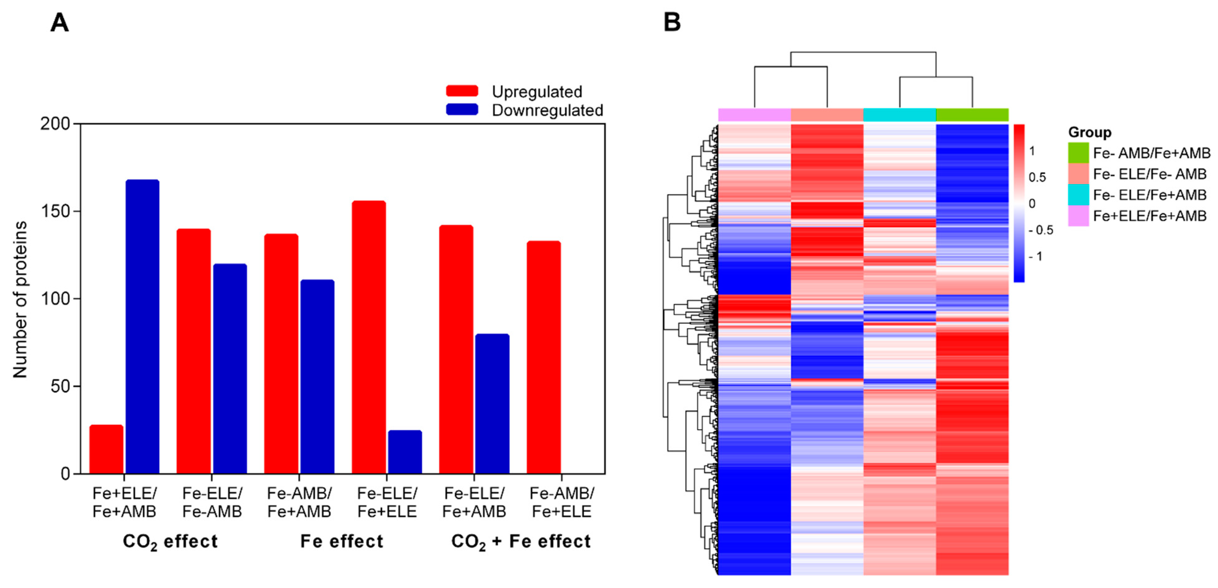 Ijms 23 13632 g001 Ijms 23 13632 g001
