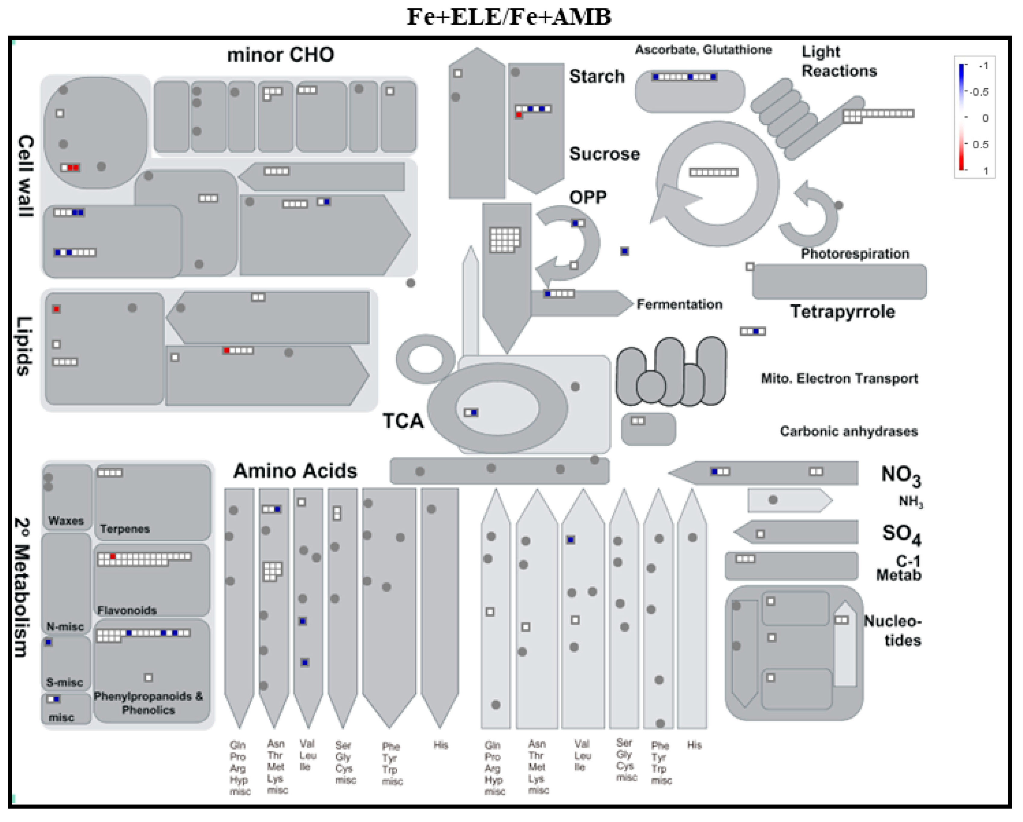 Ijms 23 13632 g002a Ijms 23 13632 g002a
